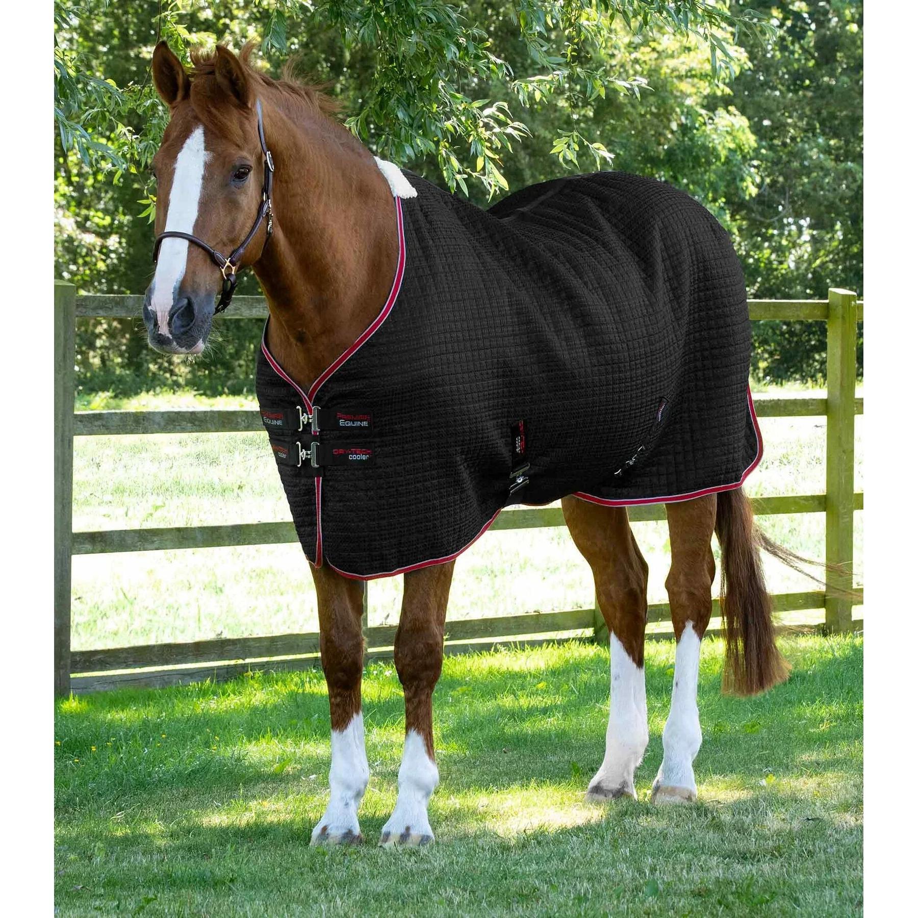 product/p/r/premier-equine_2222-56b_1.jpg