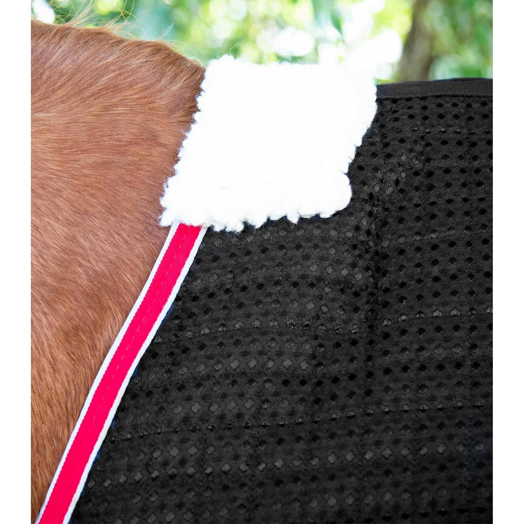product/p/r/premier-equine_2222-56b_3.jpg