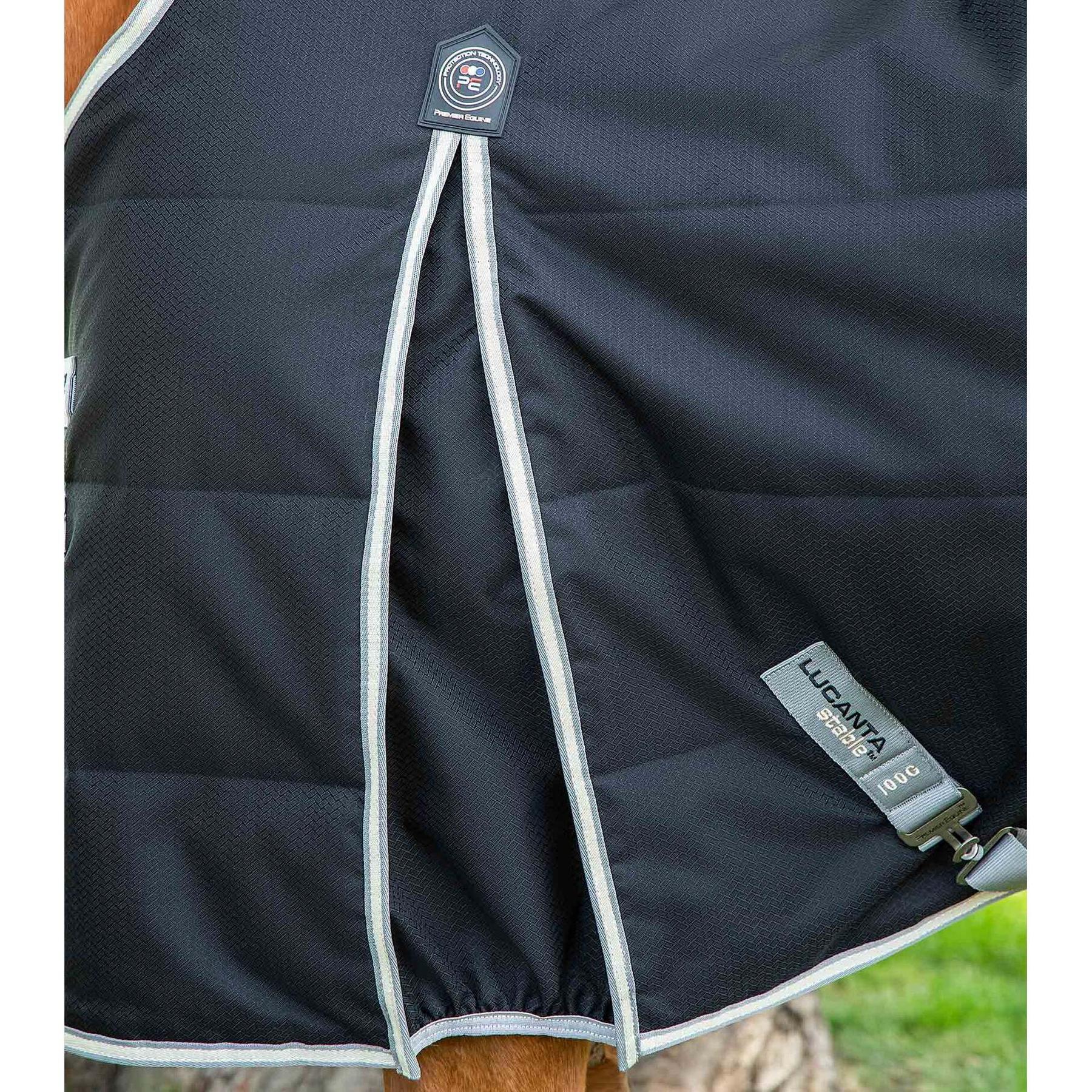 product/p/r/premier-equine_223850b_2.jpg