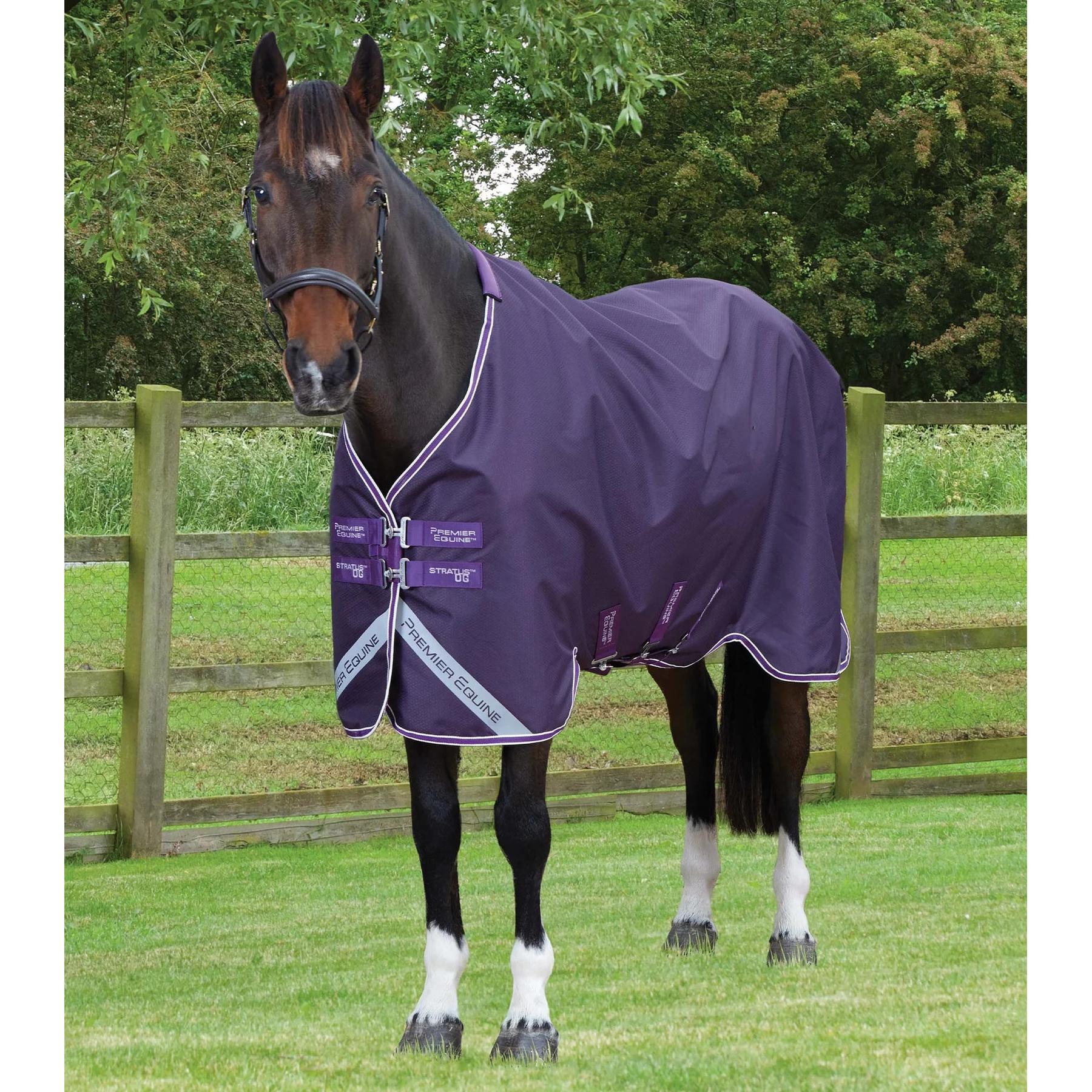 product/p/r/premier-equine_241050p_purple_1.jpg