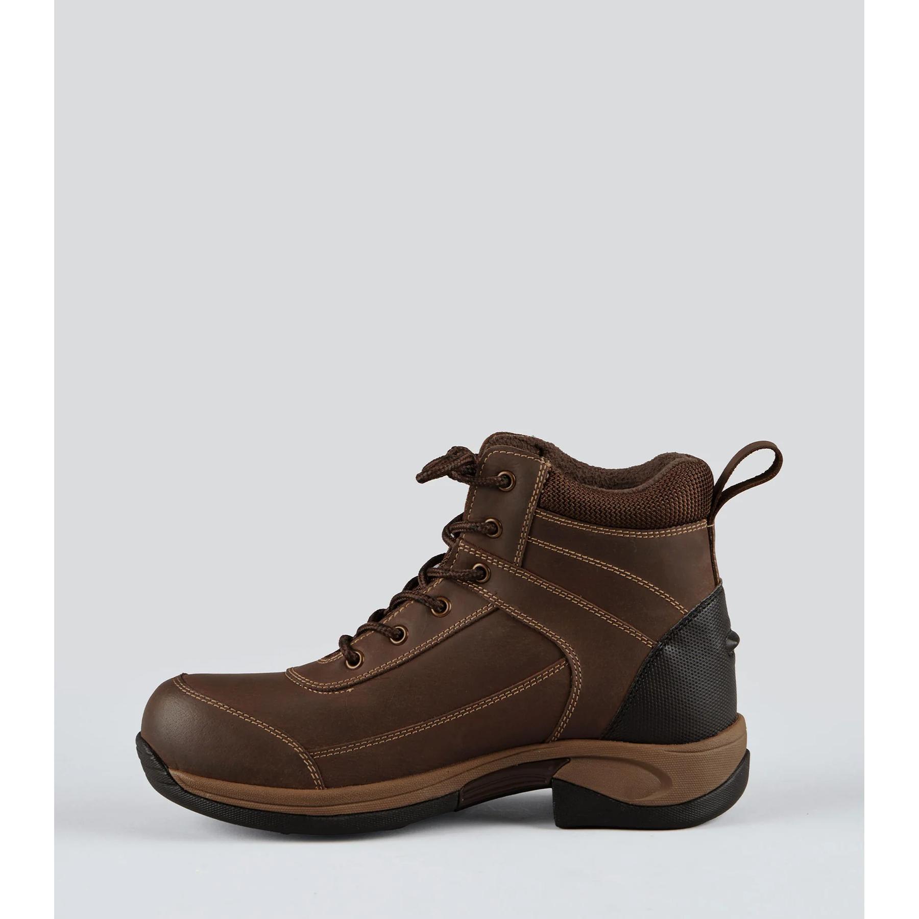 product/p/r/premier-equine_500910br_brown_2.jpg