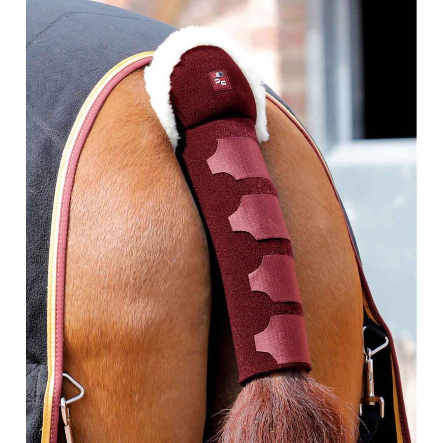product/p/r/premier-equine_6004brg_burgundy_1.jpg
