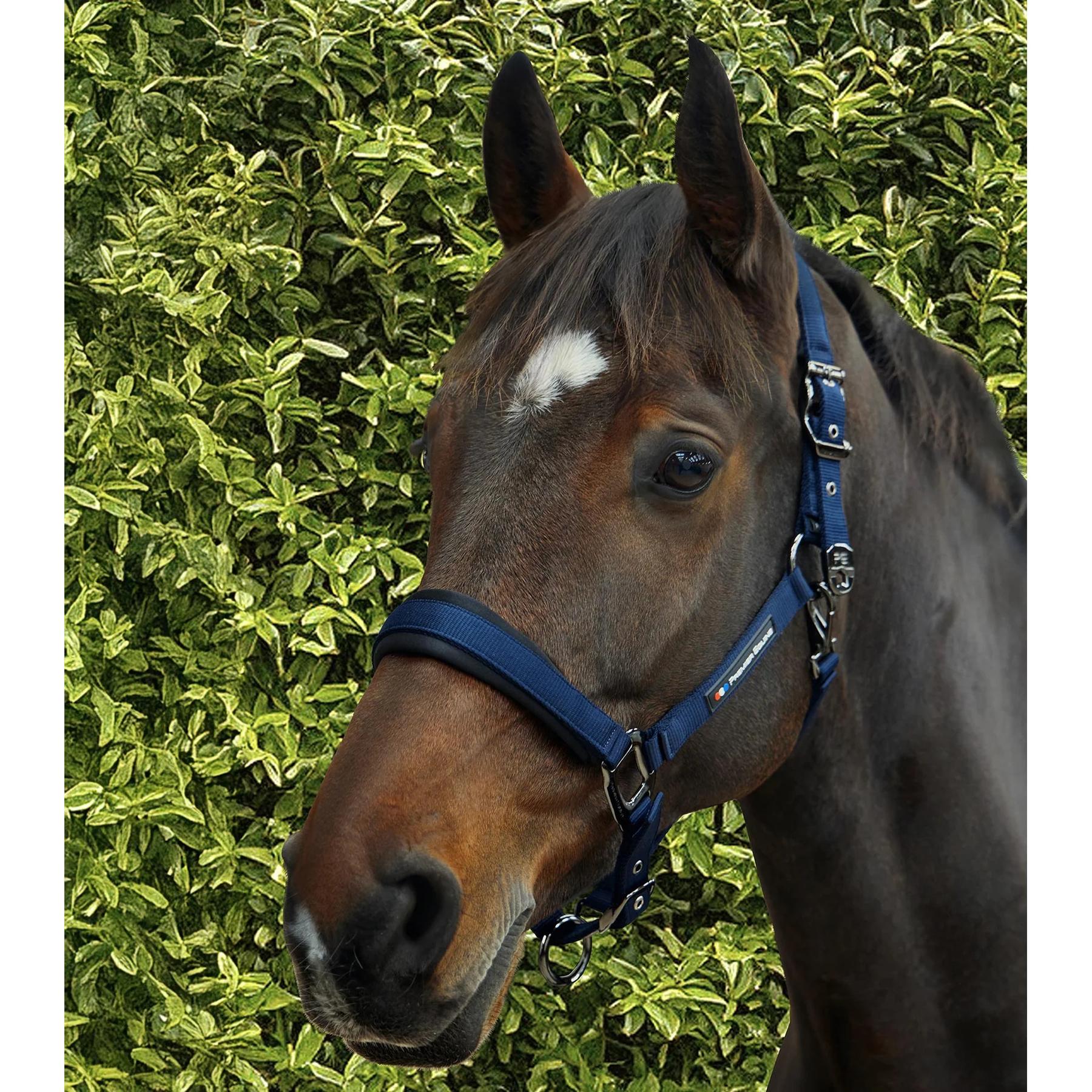 product/p/r/premier-equine_6150cnvy_navy_6.jpg