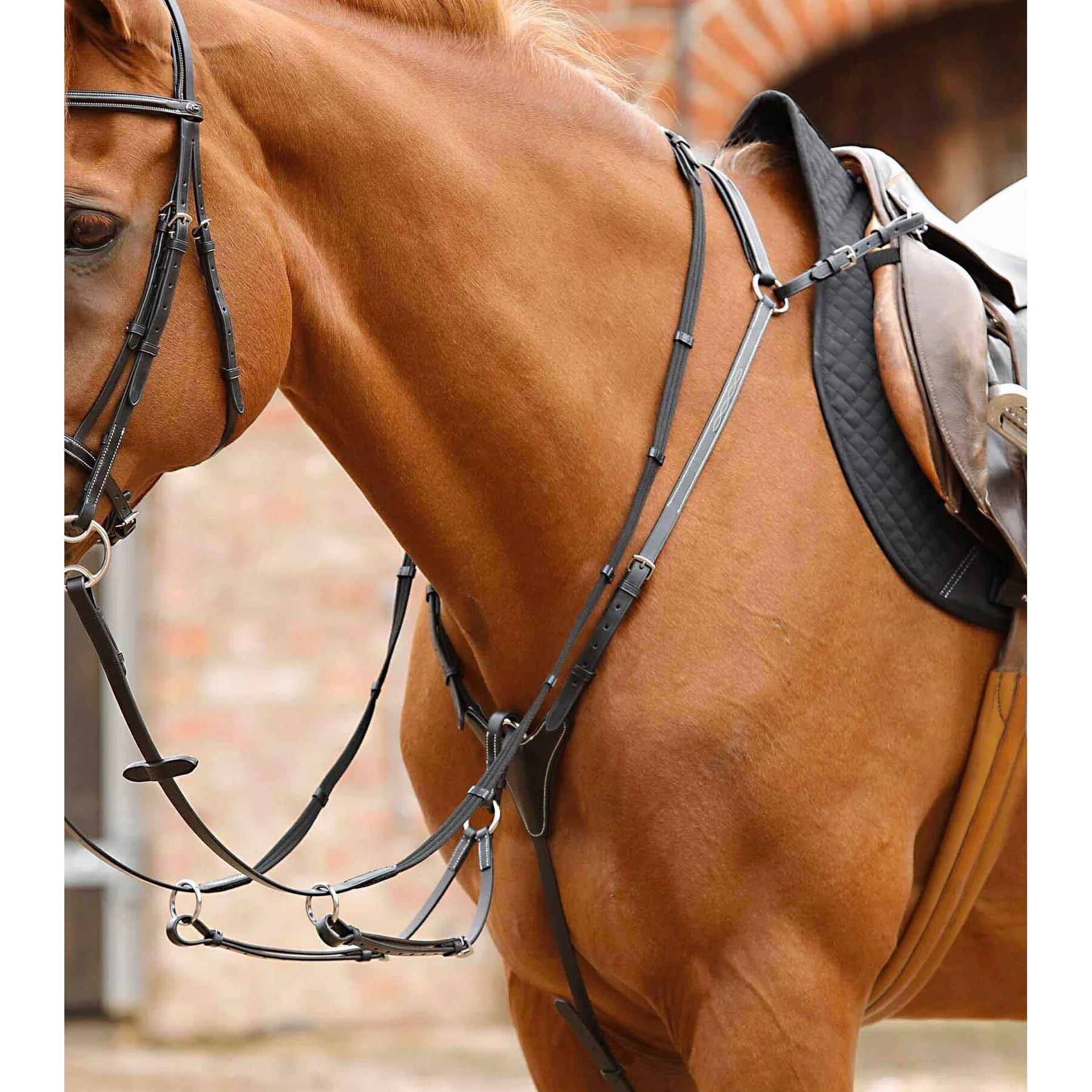 product/p/r/premier-equine_8033-cblk_1.jpg