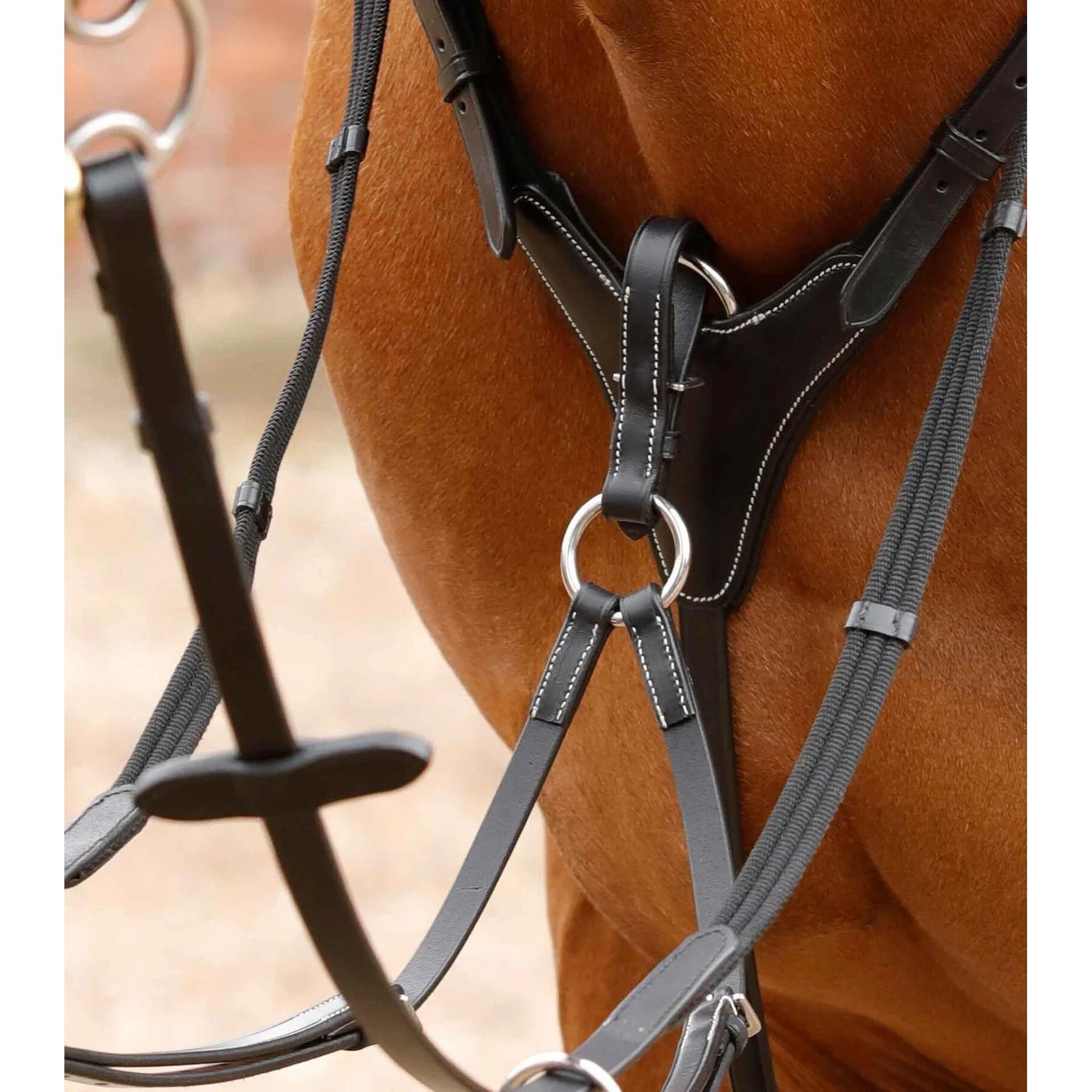 product/p/r/premier-equine_8033-cblk_2.jpg