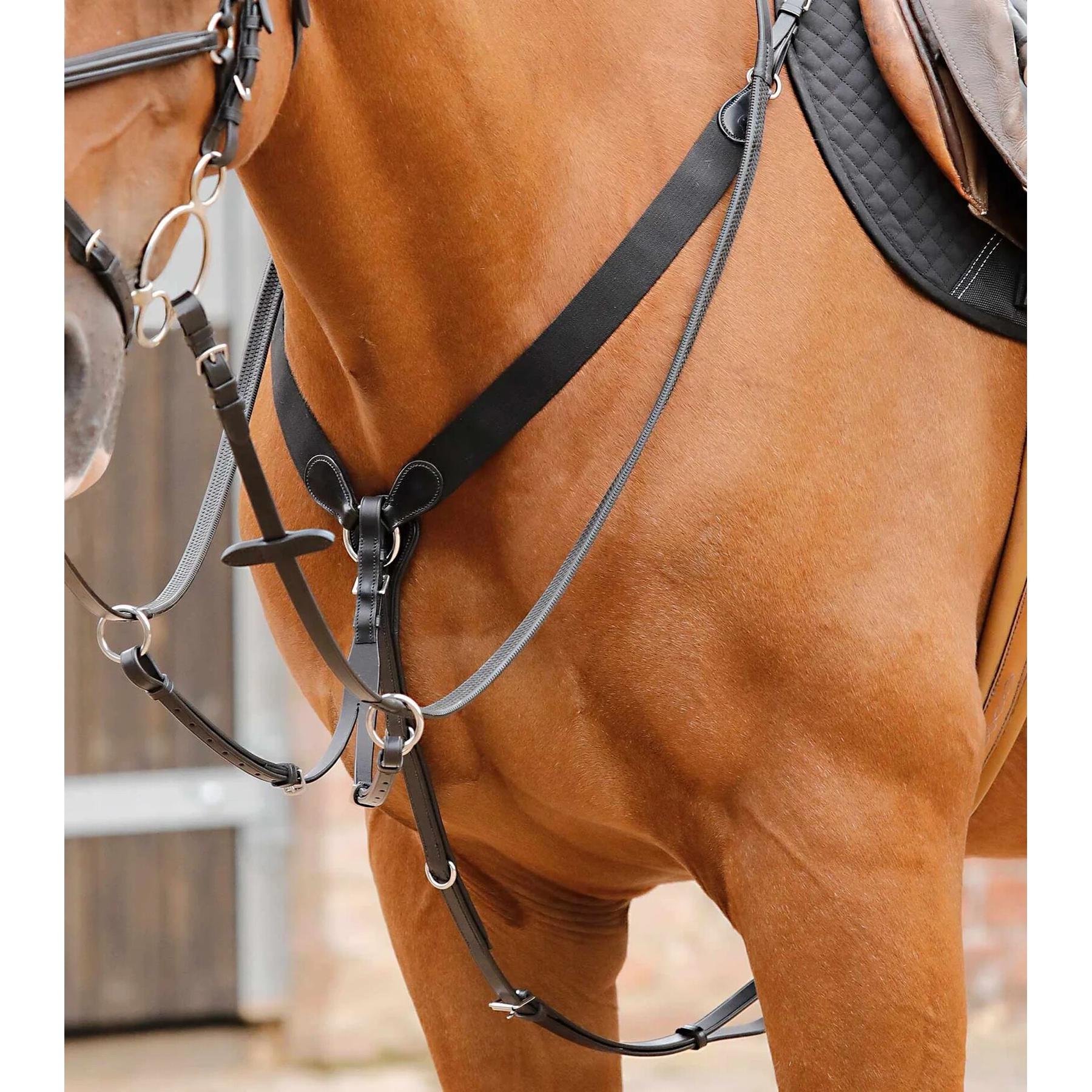 product/p/r/premier-equine_8034-cblk_1.jpg