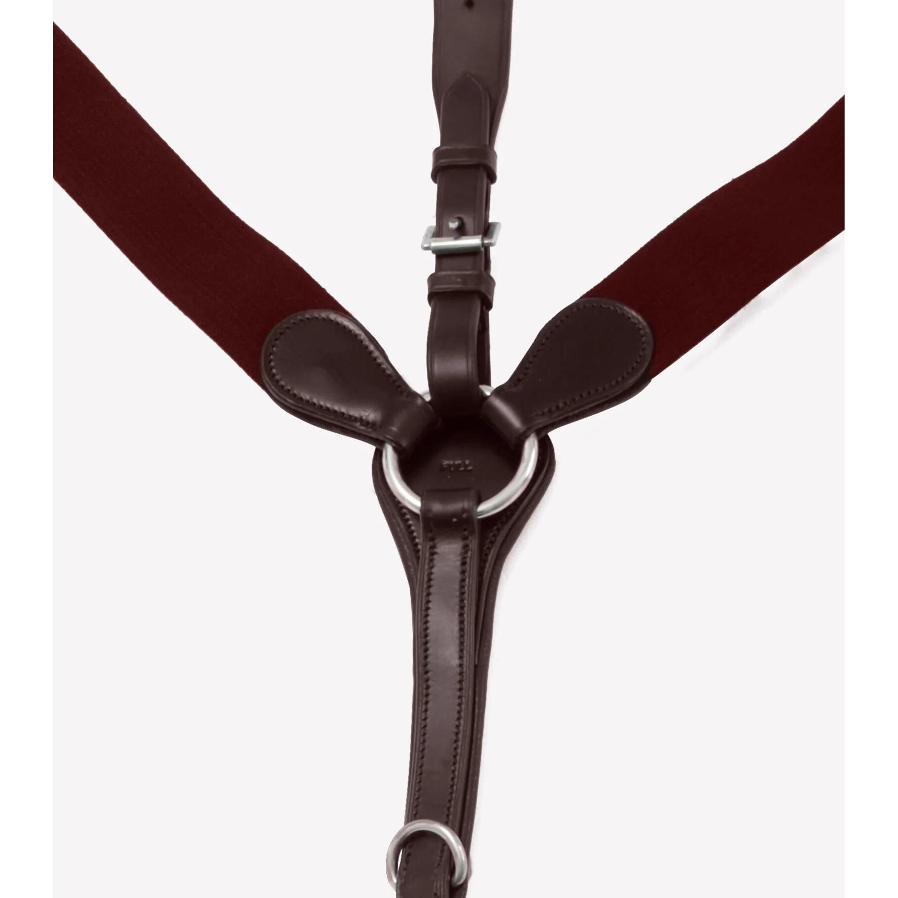 product/p/r/premier-equine_8034-cbrw_5.jpg