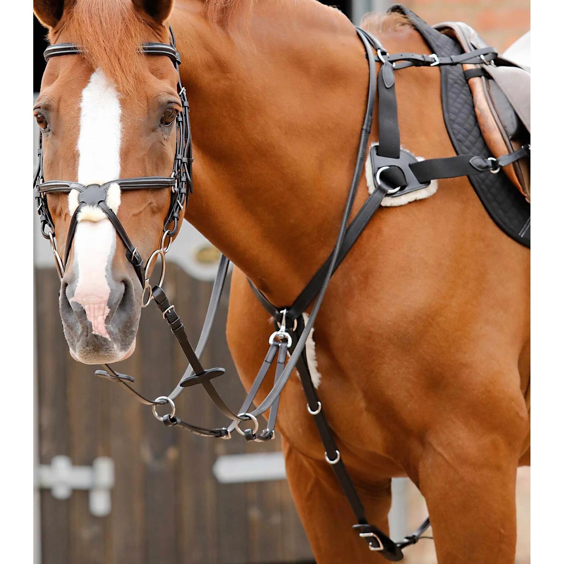product/p/r/premier-equine_8037-cblk_1.jpg