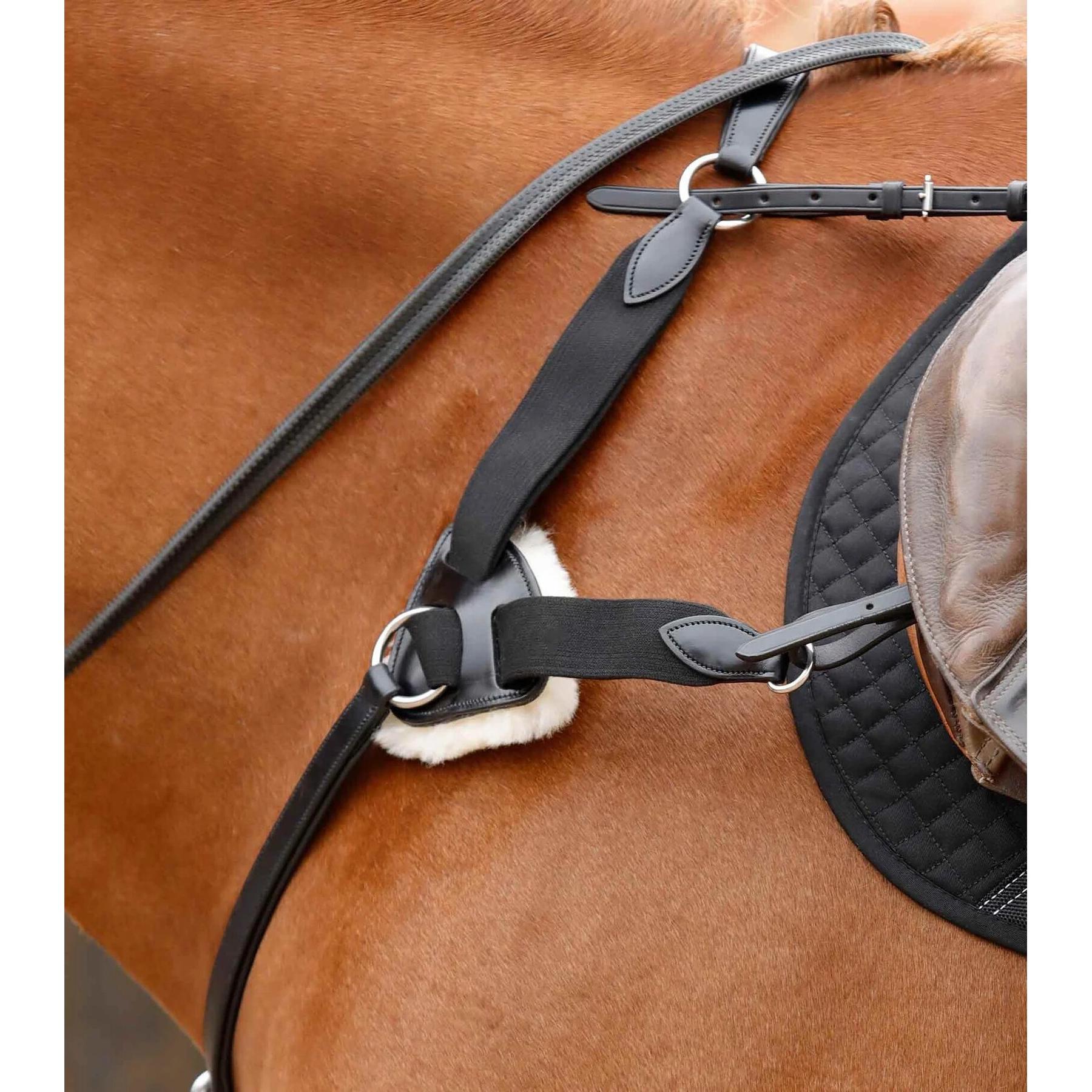 product/p/r/premier-equine_8037-cblk_2.jpg