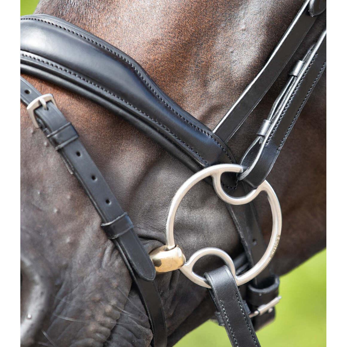 product/p/r/premier-equine_8066-45_metal_2.jpg