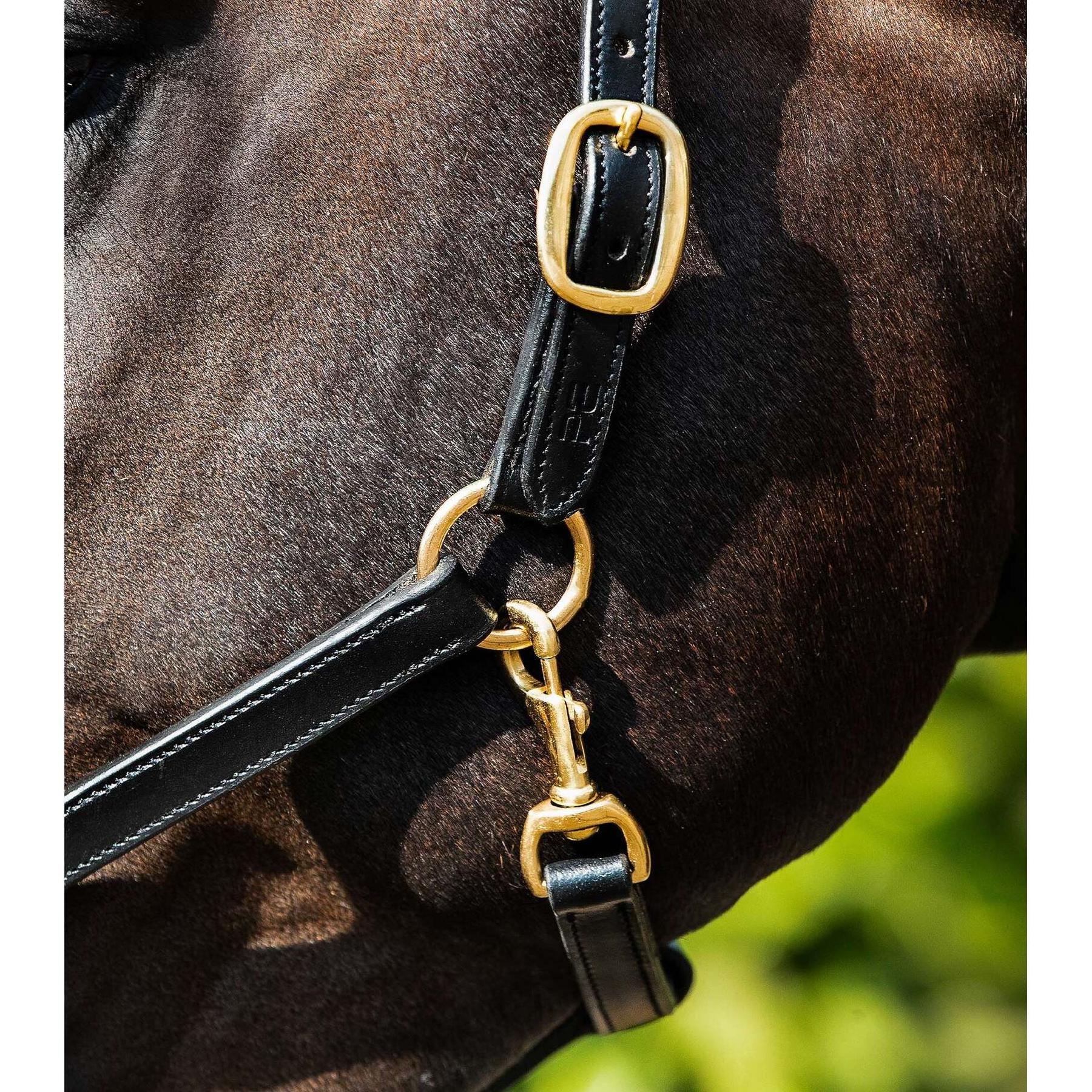 product/p/r/premier-equine_8099-cblk_2.jpg