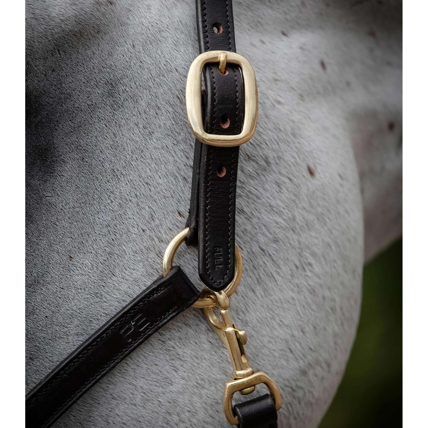 product/p/r/premier-equine_8099-cbrw_2.jpg