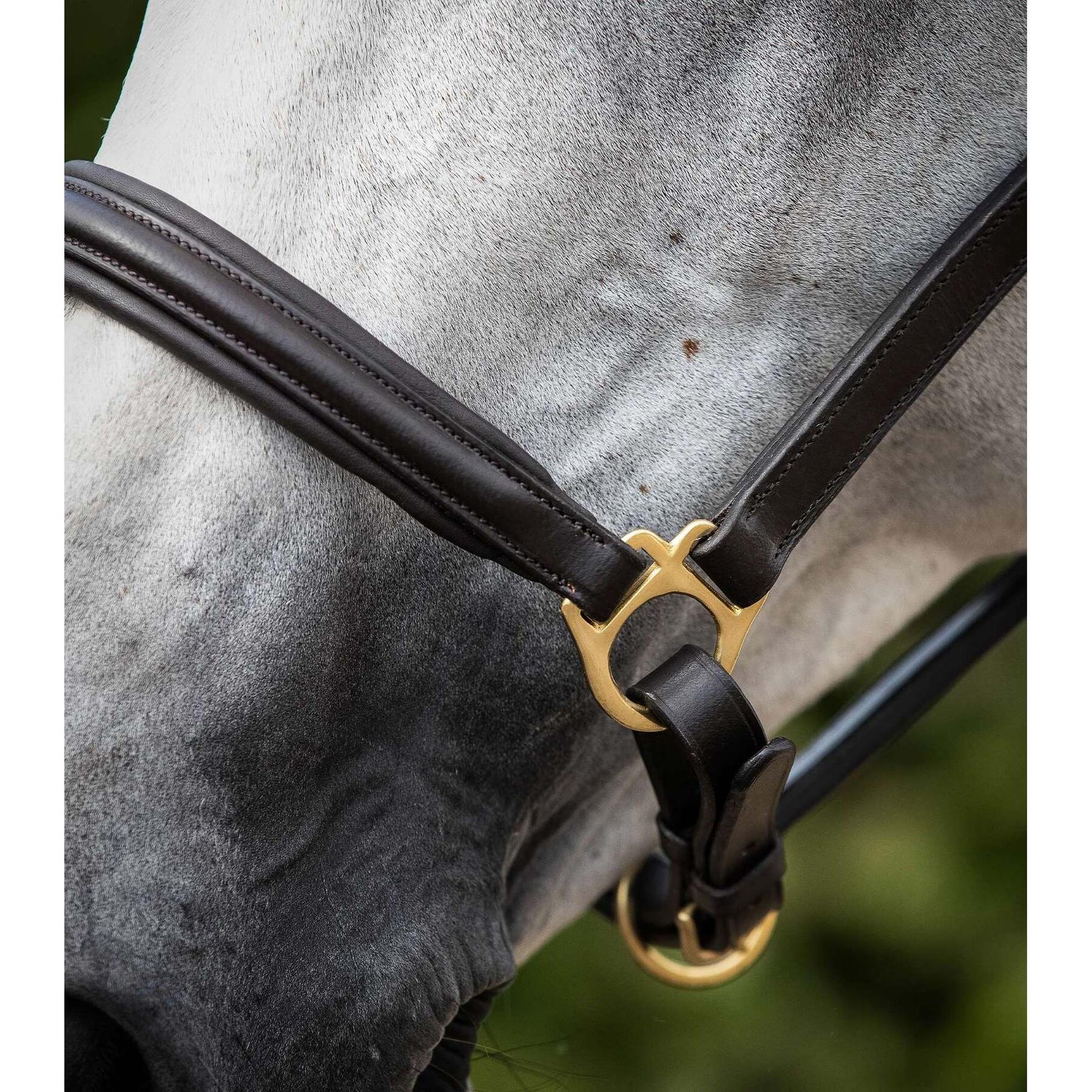 product/p/r/premier-equine_8099-cbrw_3.jpg