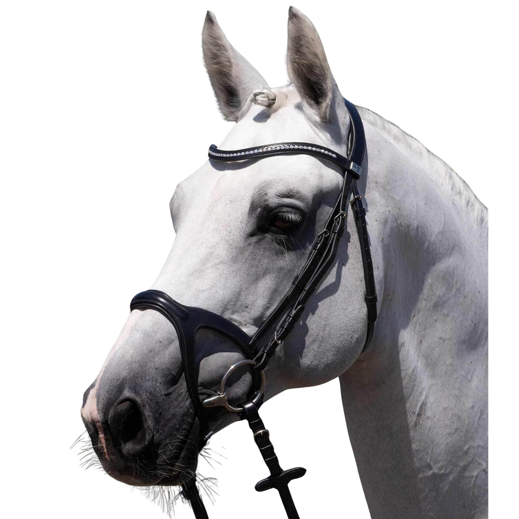 product/p/r/premier-equine_8127cblk_black_1.jpg