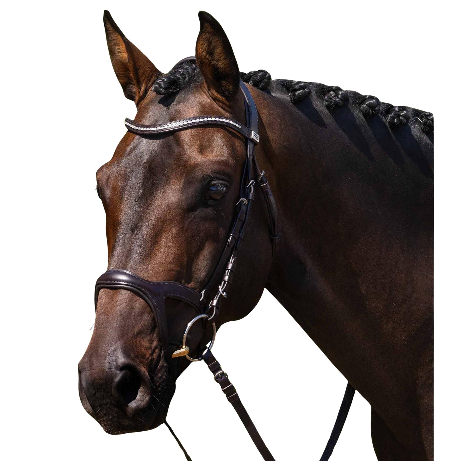 product/p/r/premier-equine_8127cbrw_brown_1.jpg