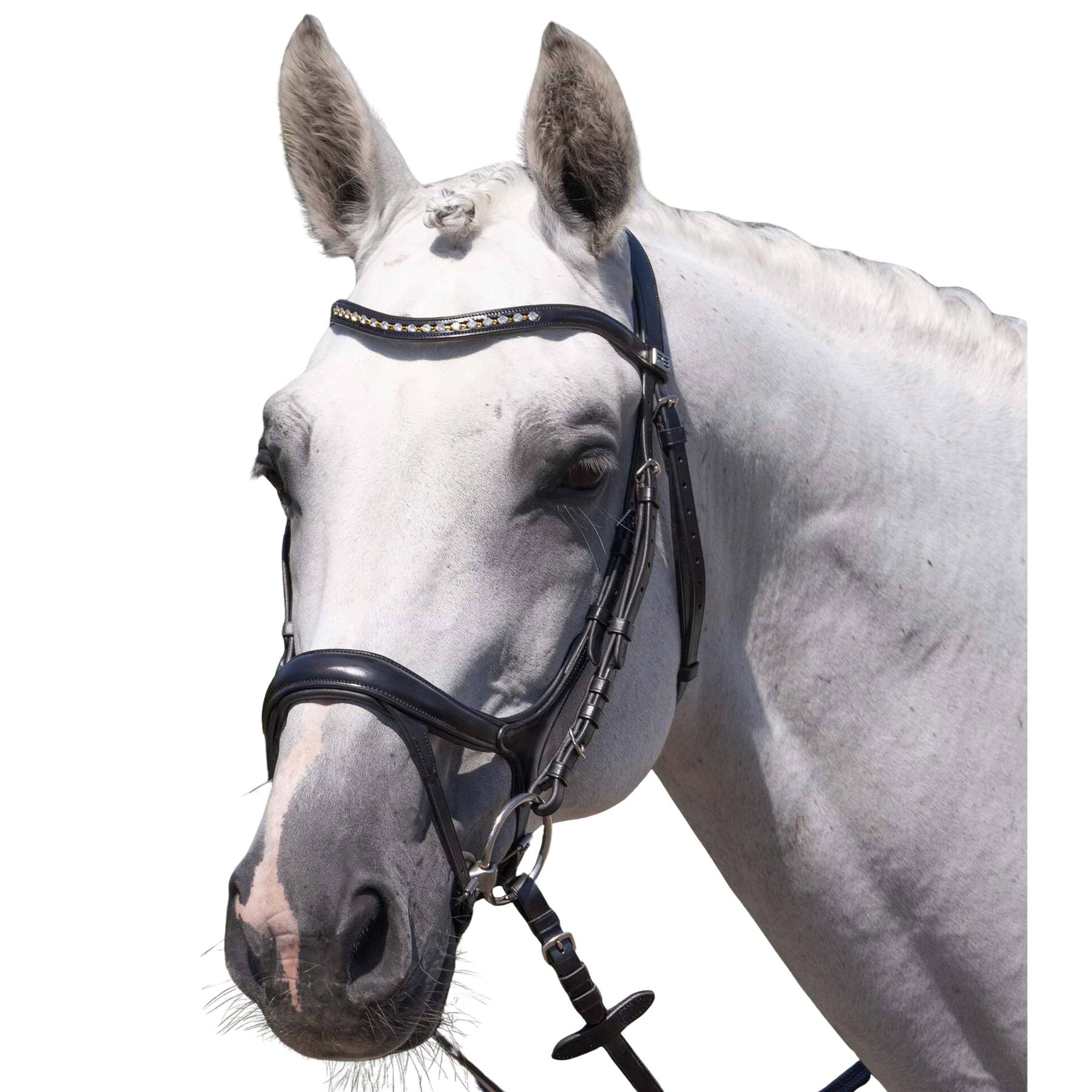 product/p/r/premier-equine_8128cblk_black_1.jpg