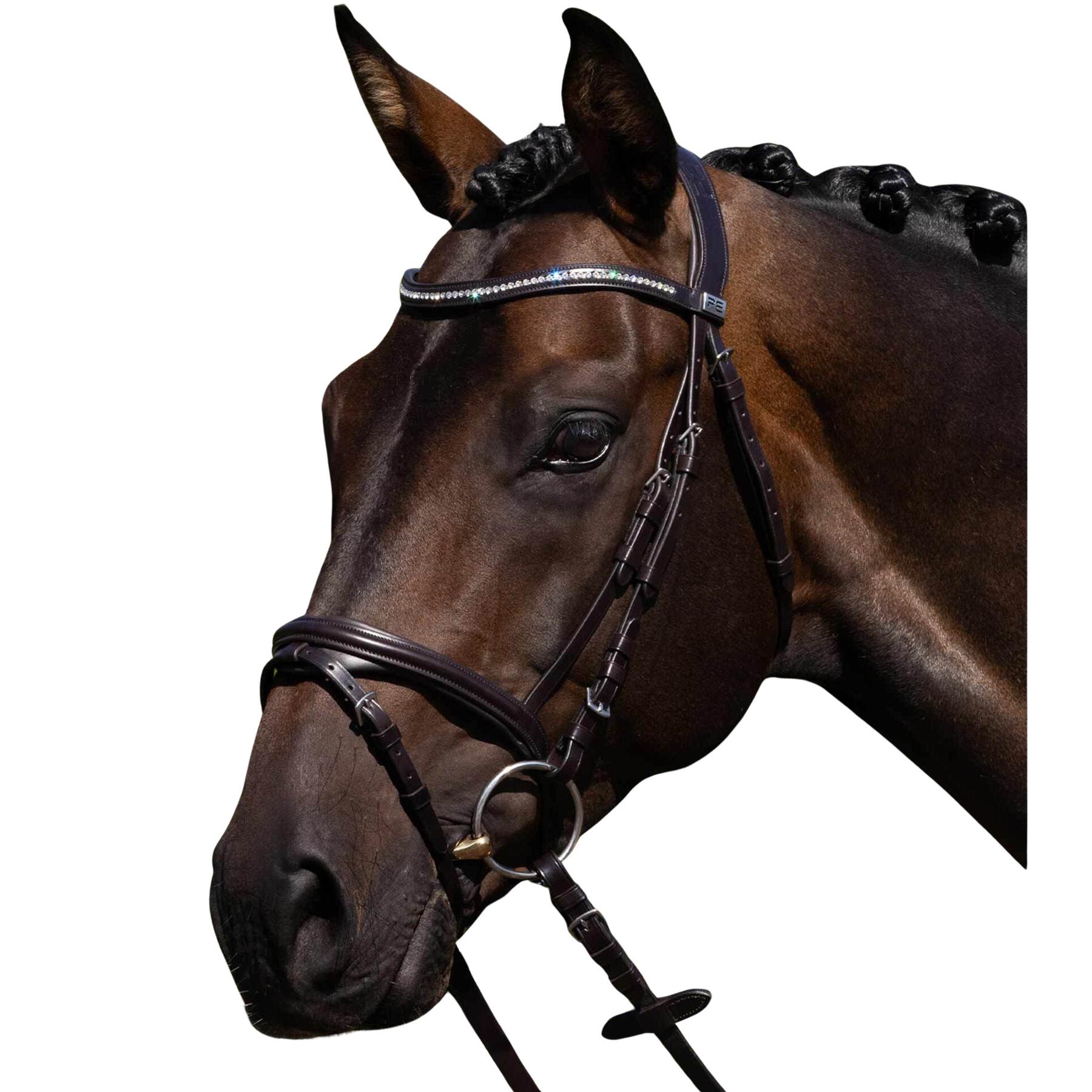 product/p/r/premier-equine_8138cbrw_brown_1.jpg