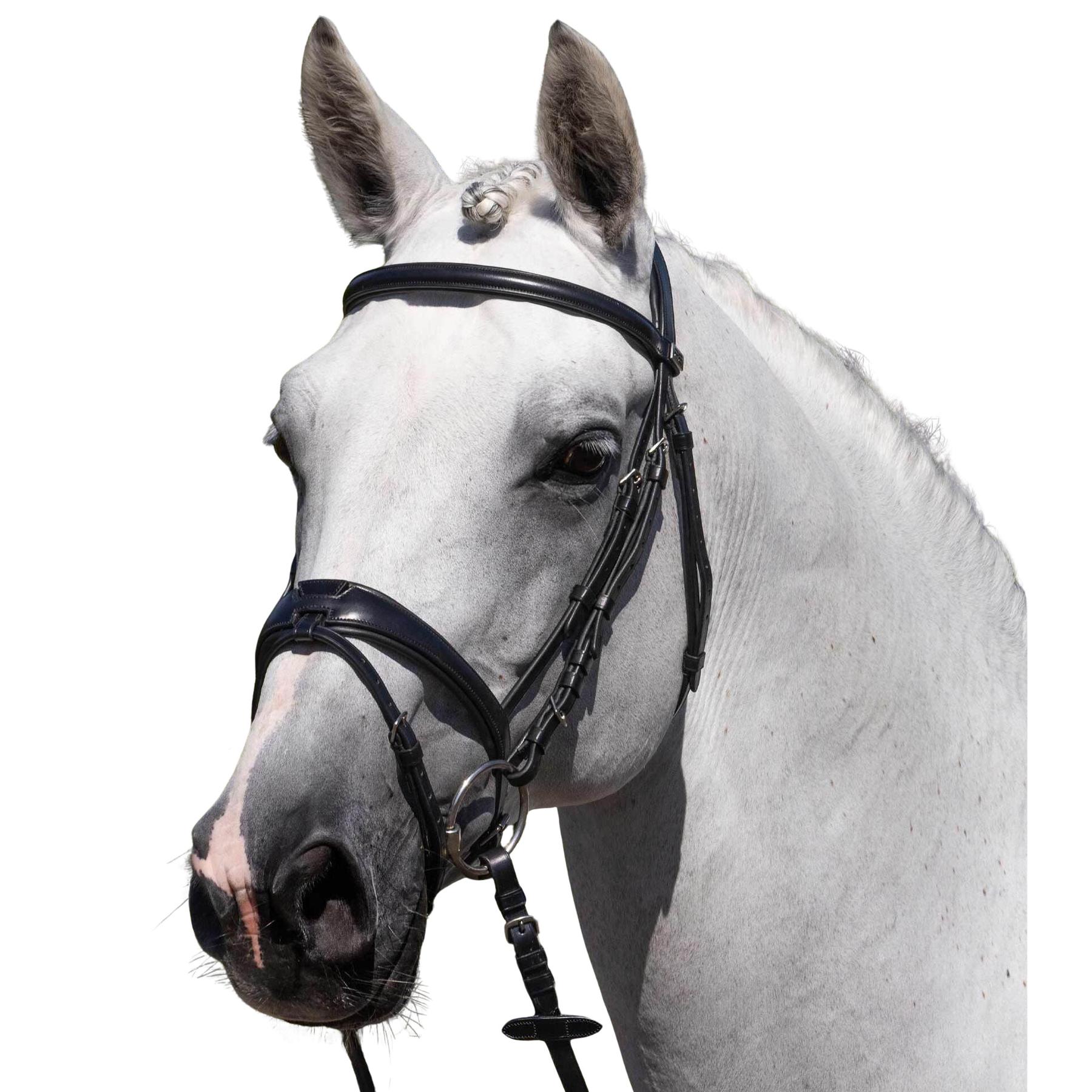 product/p/r/premier-equine_8139cblk_black_1.jpg