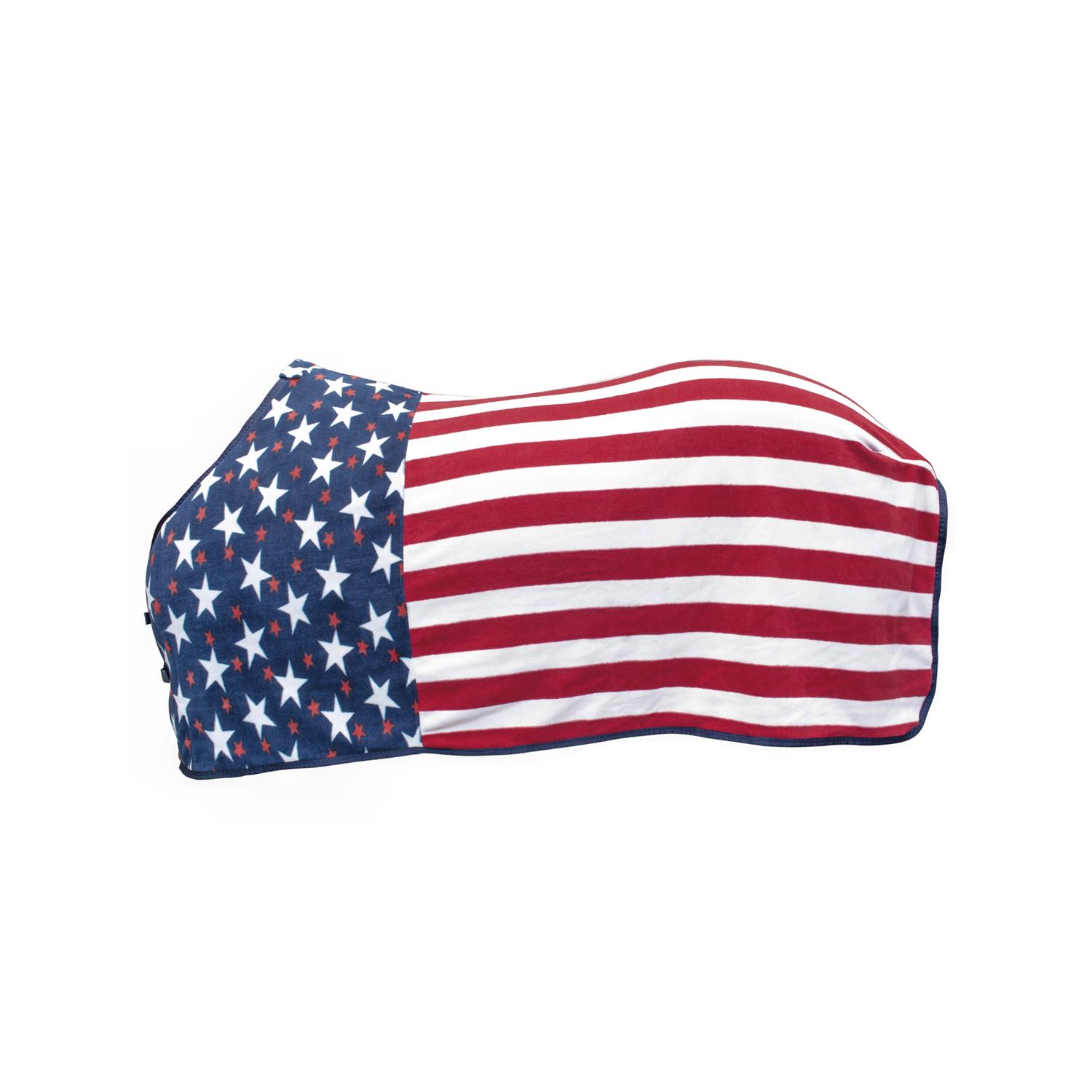 product/p/r/pro-tech_co00273-usaflag_usaflag_1.jpg