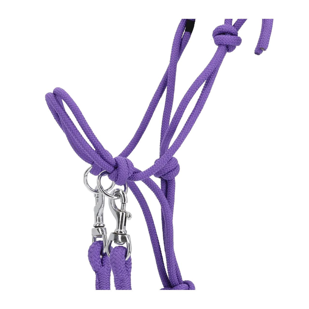 product/q/-/q-essentials_1195-pf_passion-flower_2.jpg