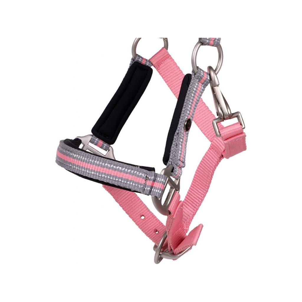 product/q/h/qhp_1164-fp_flamingo-pink_3.jpg