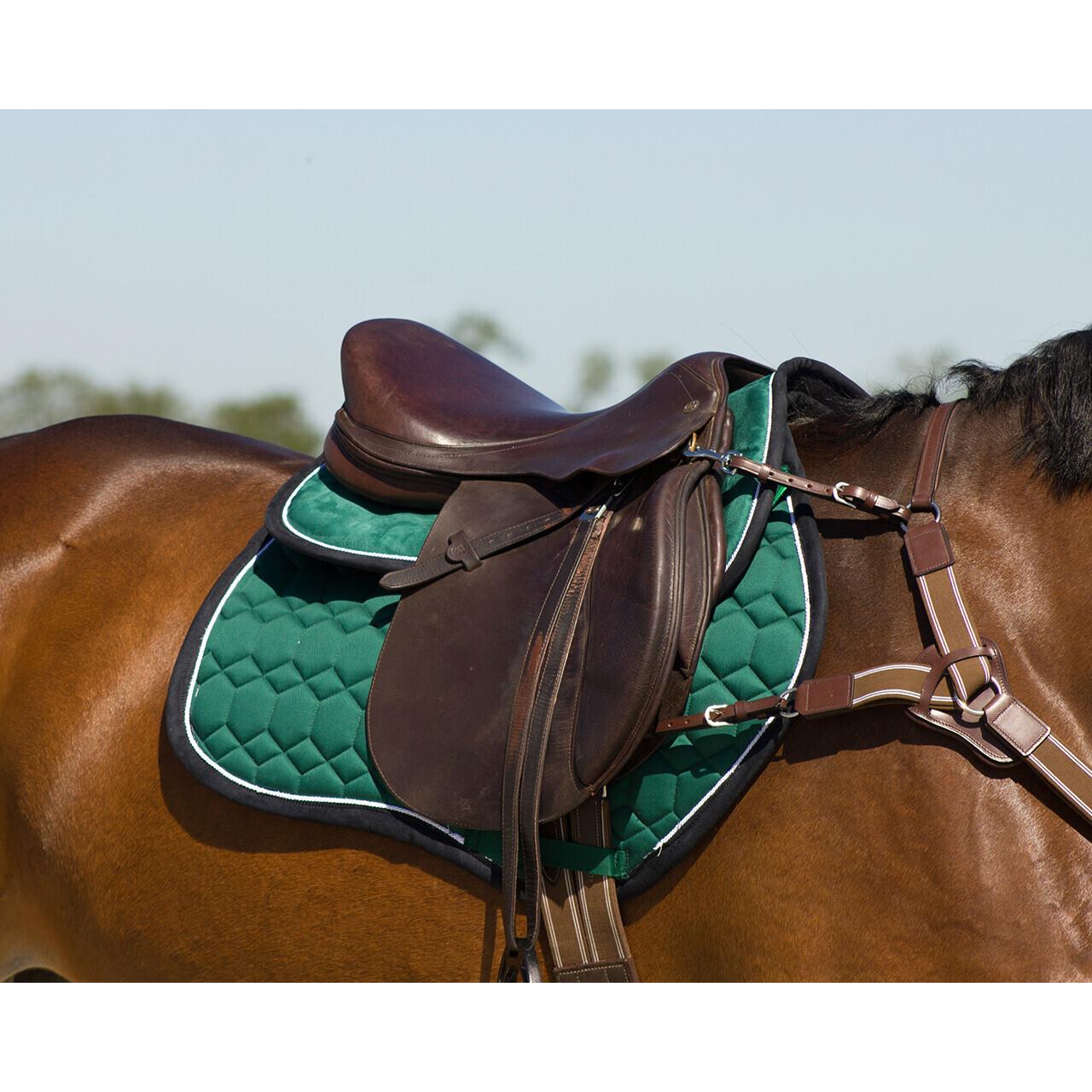 product/q/h/qhp_3116-arm_3.jpg
