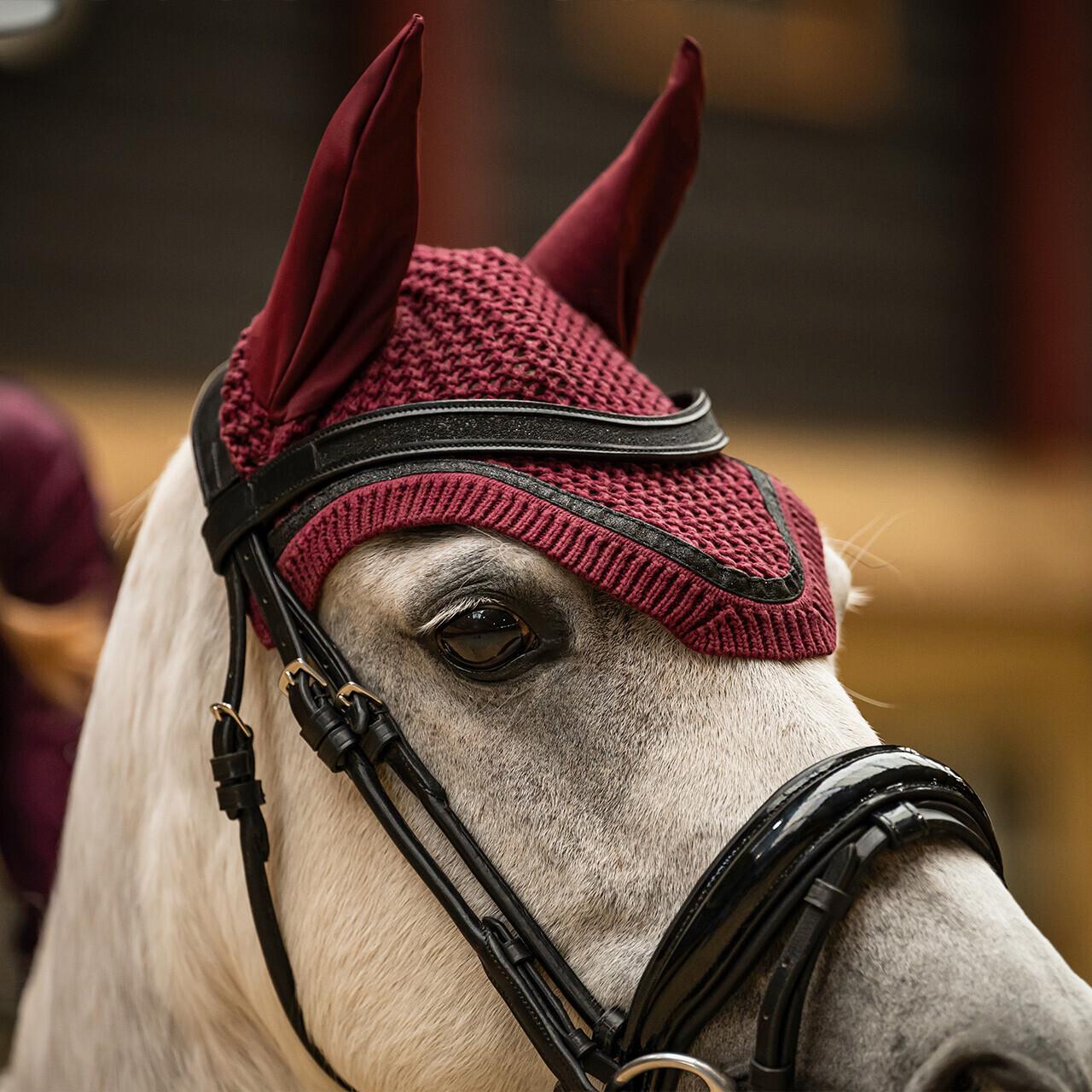 product/q/h/qhp_5593-wro_wine-red_5.jpg