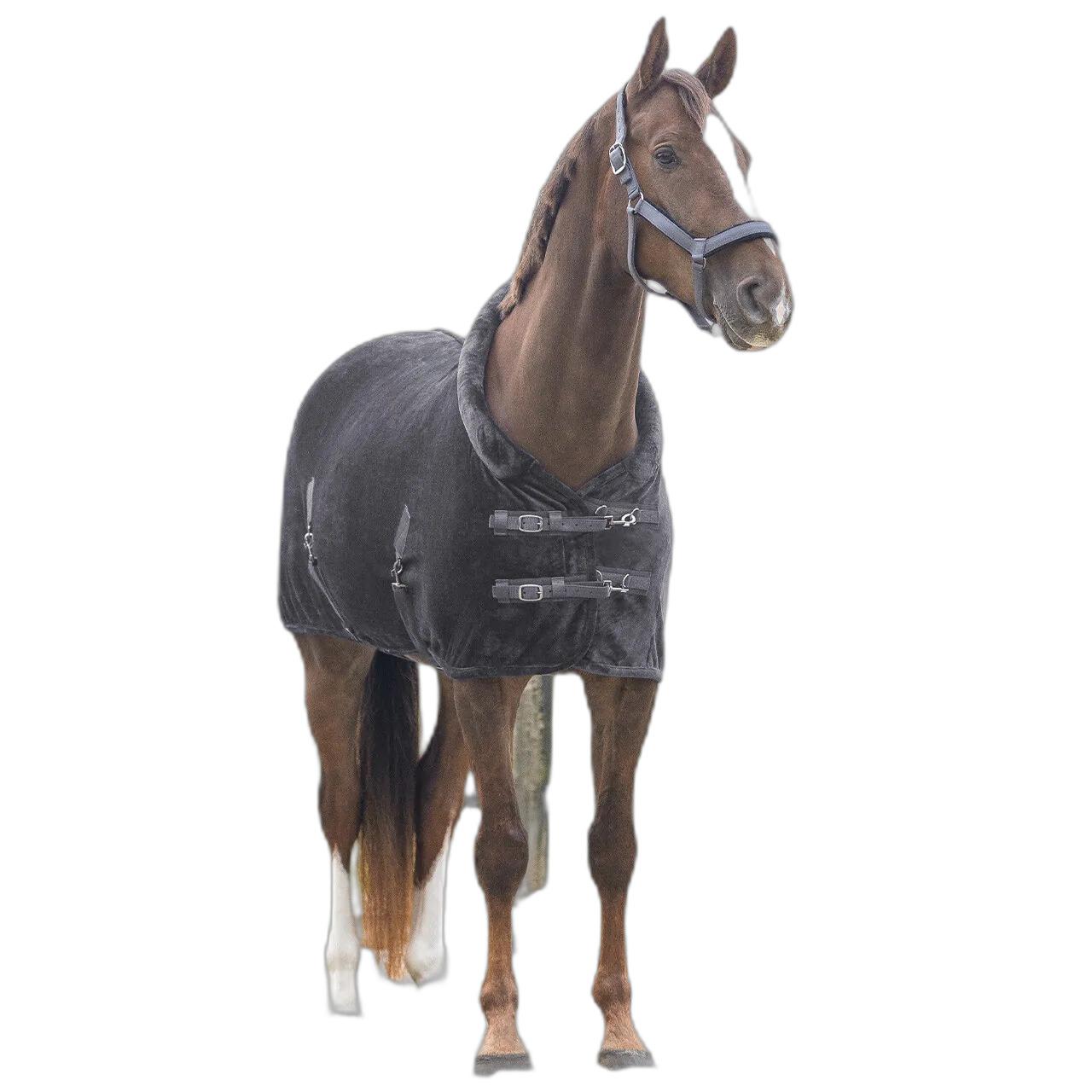 product/q/h/qhp_6394-gs_gris_2.jpg