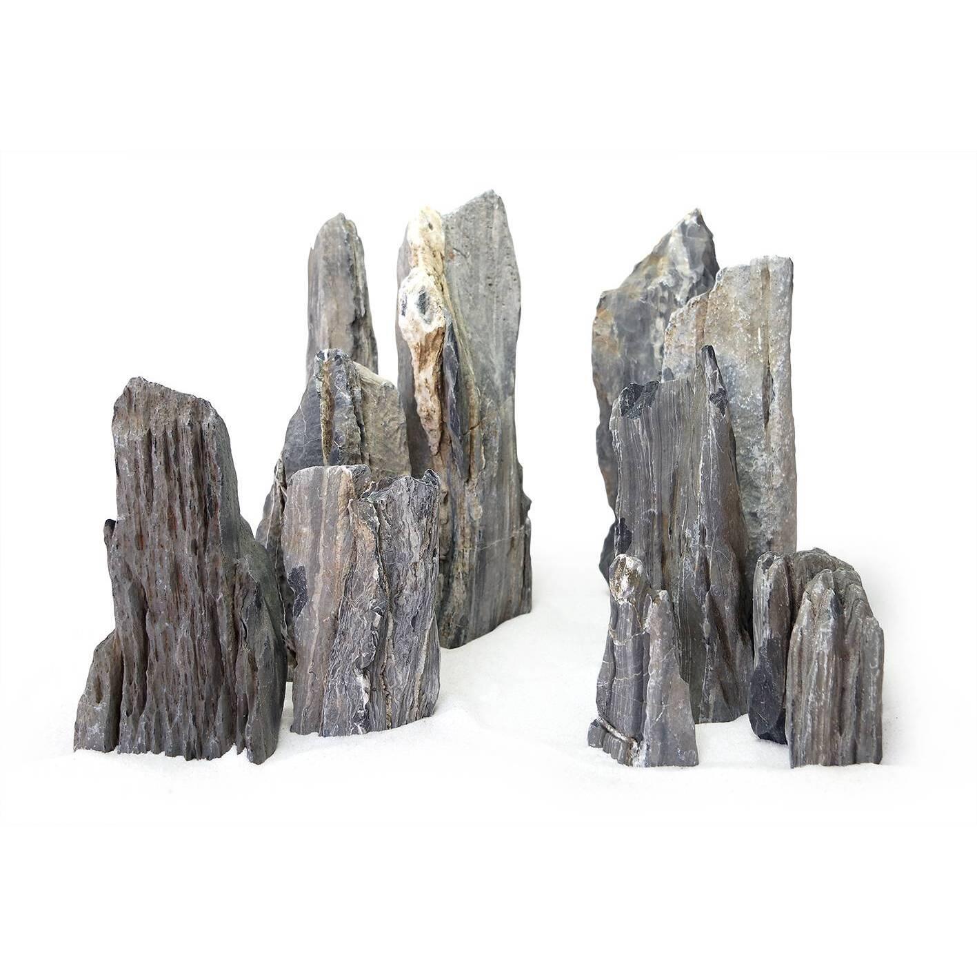 product/r/e/reptiles-planet_rp120502s_gris_1.jpg