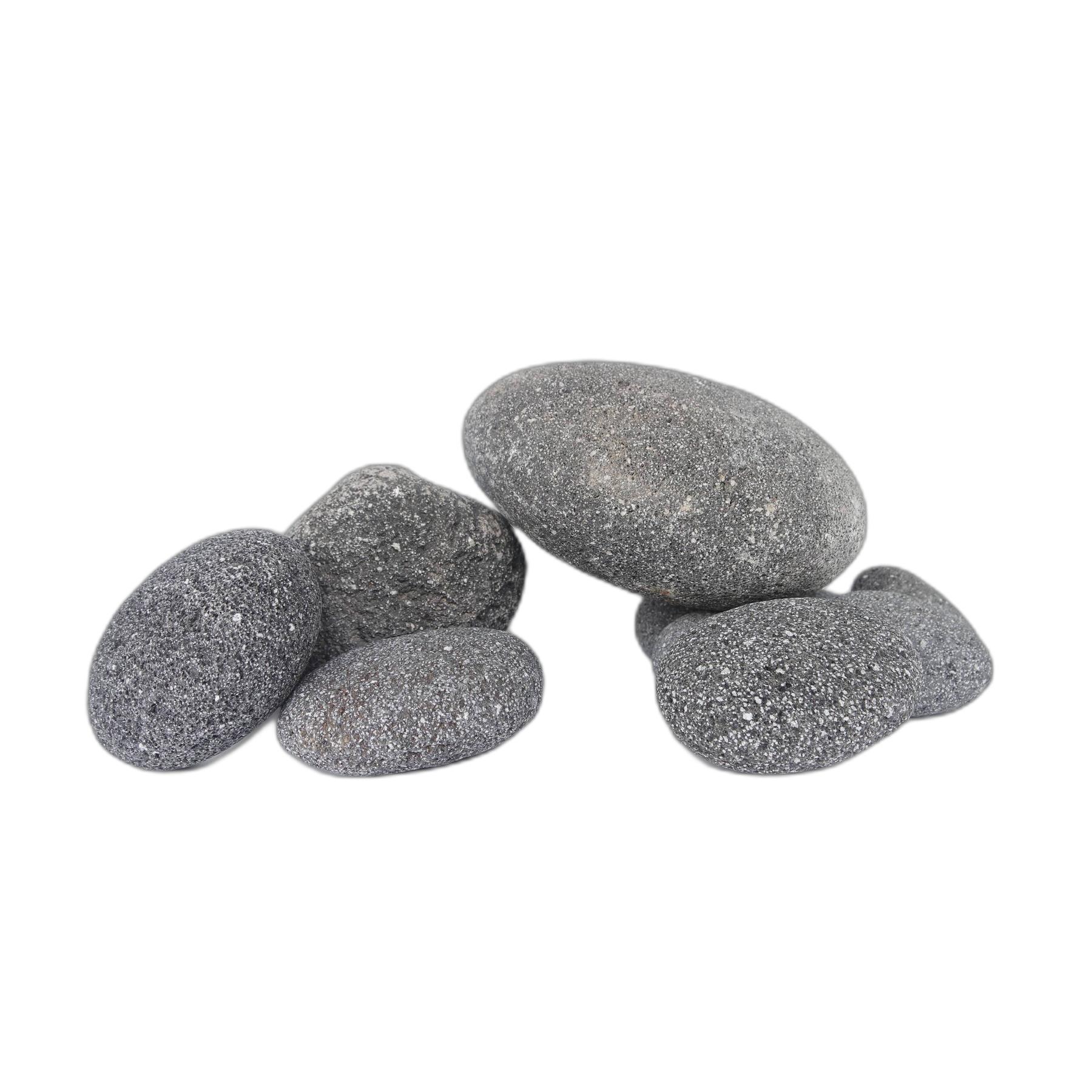 product/r/e/reptiles-planet_rp120512m_gris_1.jpg