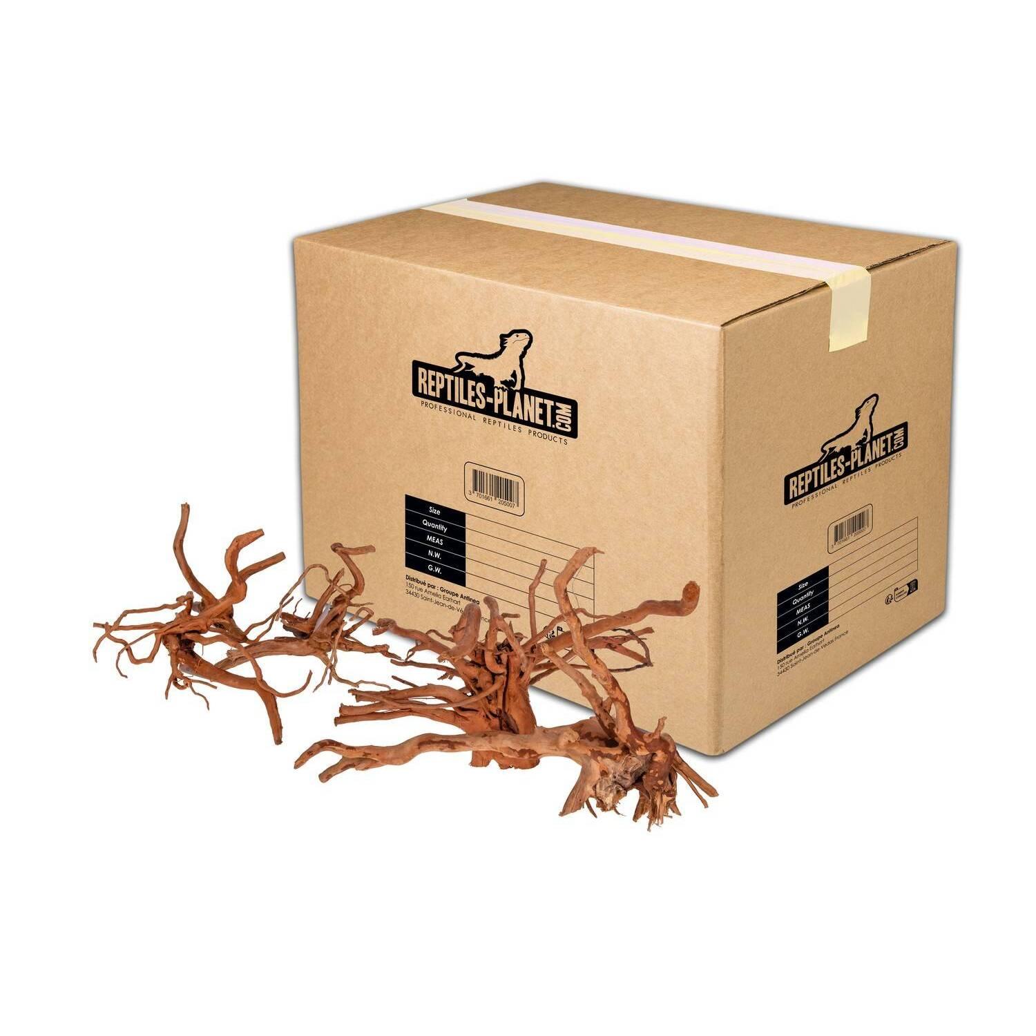 product/r/e/reptiles-planet_rp120700m_marron_1.jpg