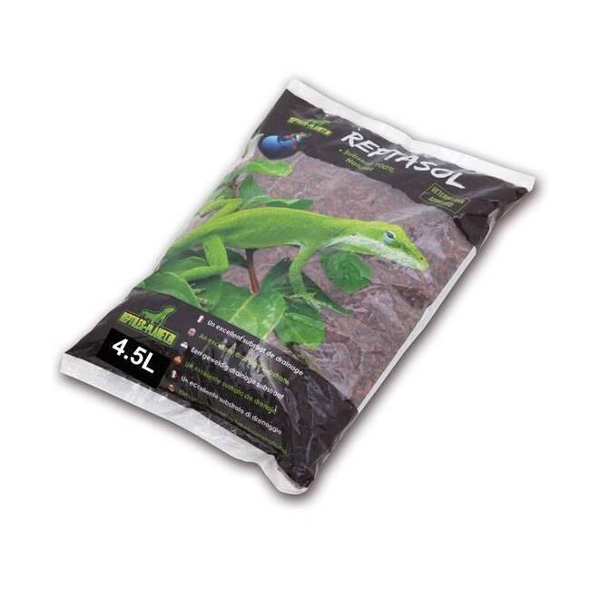 product/r/e/reptiles-planet_rp550005_violet_1.jpg