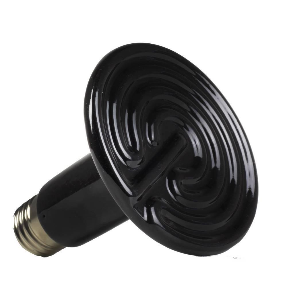 product/r/e/reptiles-planet_rp870555_noir_1.jpg
