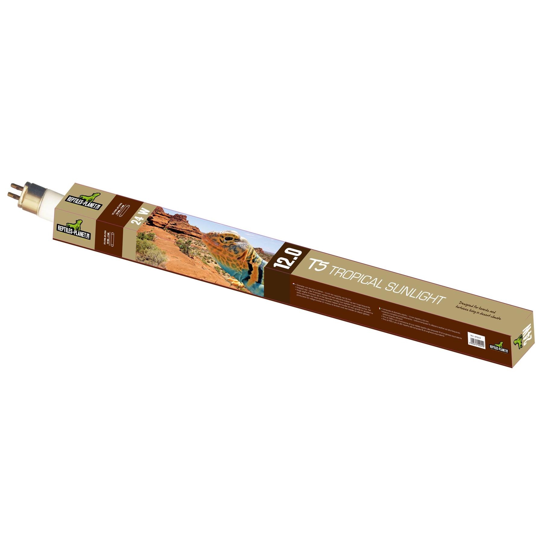 product/r/e/reptiles-planet_rp870618_marron_2.jpg