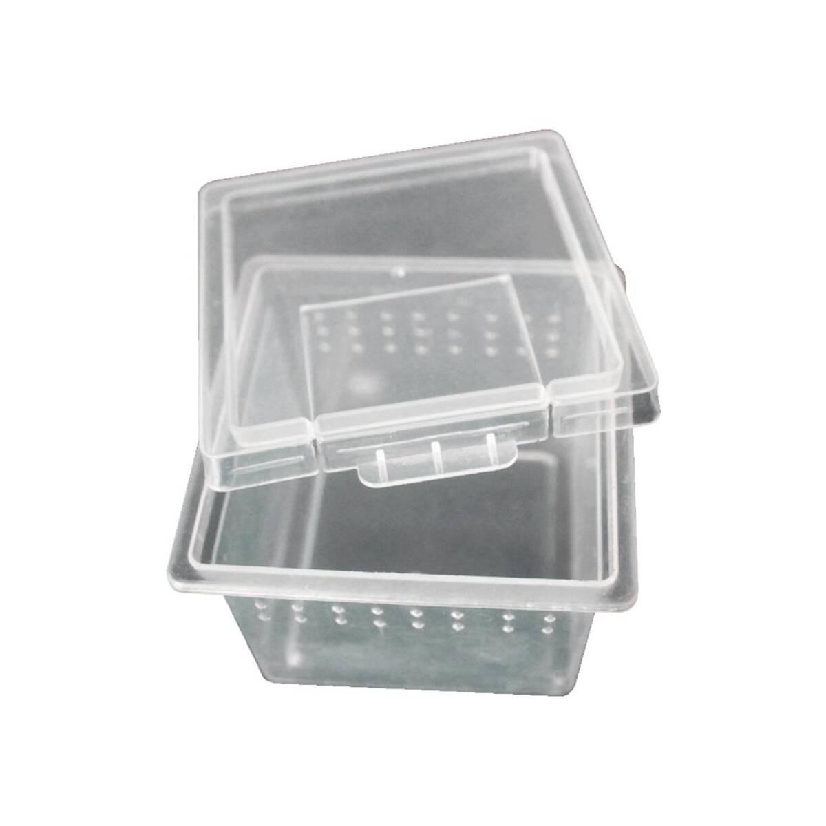 product/r/e/reptiles-planet_rp875971_gris_1.jpg