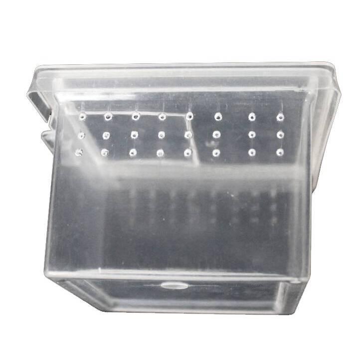 product/r/e/reptiles-planet_rp875971_gris_2.jpg
