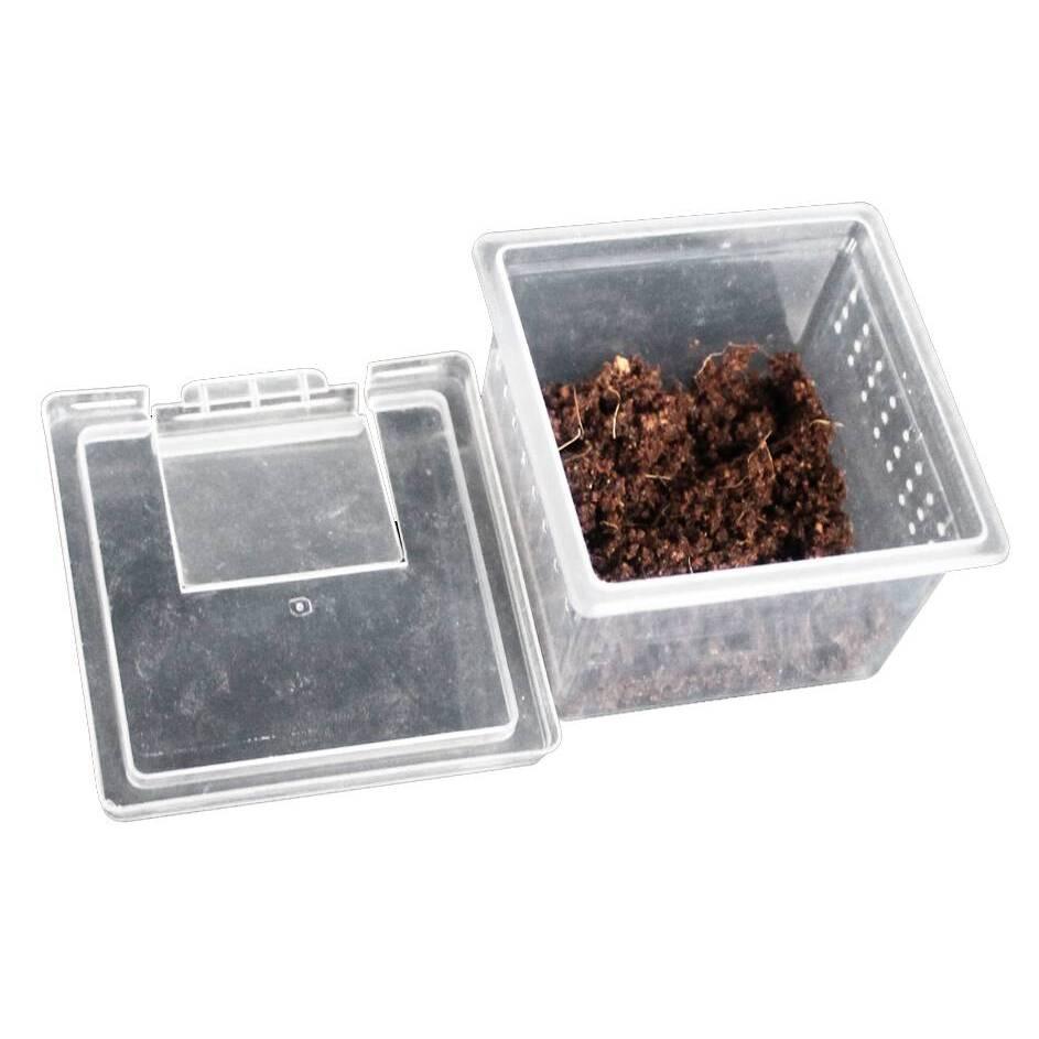 product/r/e/reptiles-planet_rp875971_gris_4.jpg