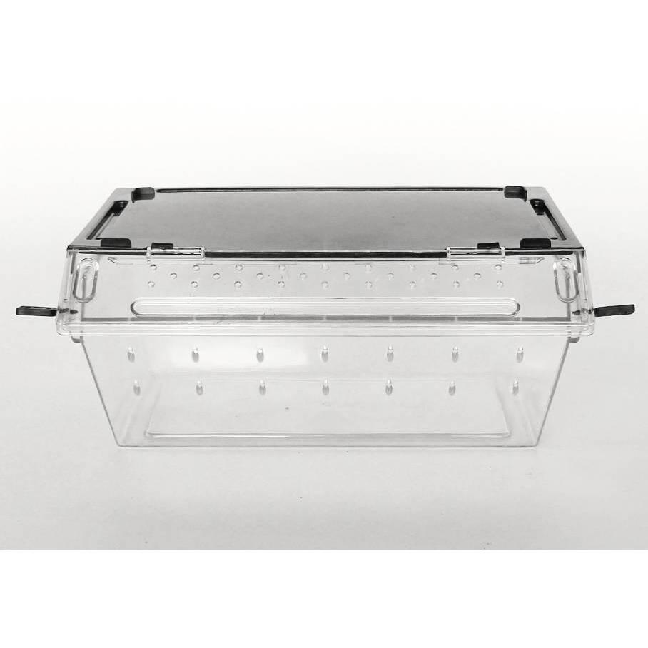 product/r/e/reptiles-planet_rp875972_transparent_3.jpg
