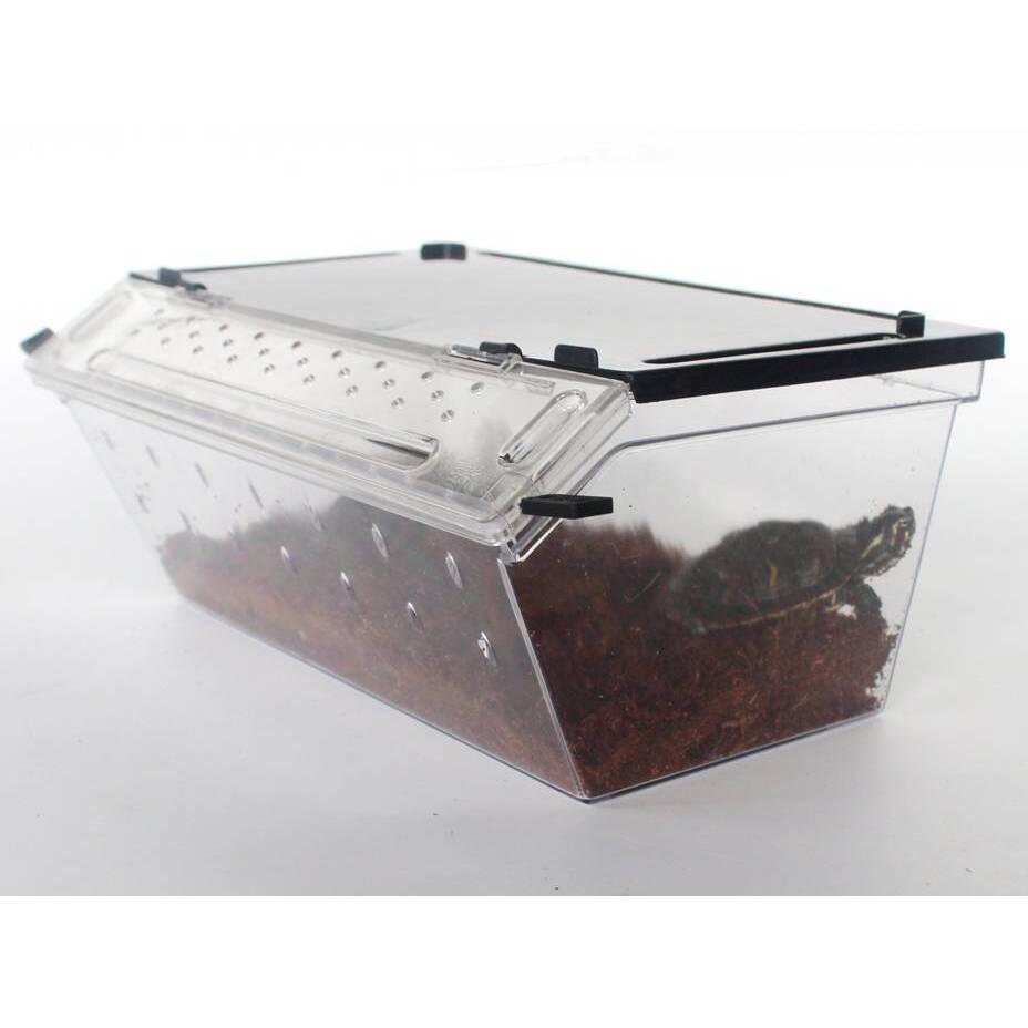product/r/e/reptiles-planet_rp875972_transparent_5.jpg
