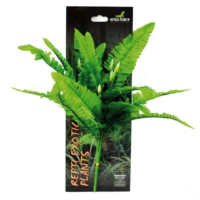 product/r/e/reptiles-planet_rp876022_vert_1.jpg