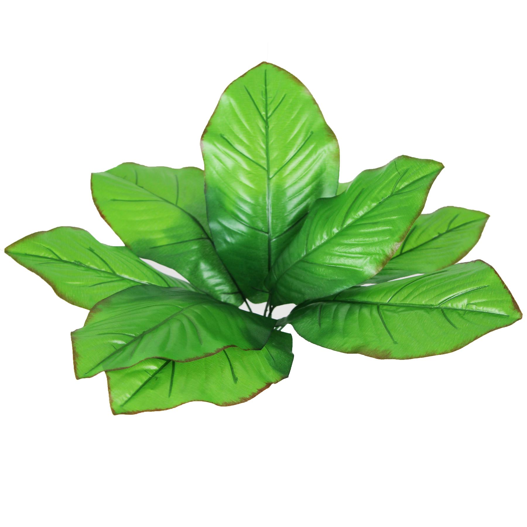 product/r/e/reptiles-planet_rp876027_vert_1.jpg