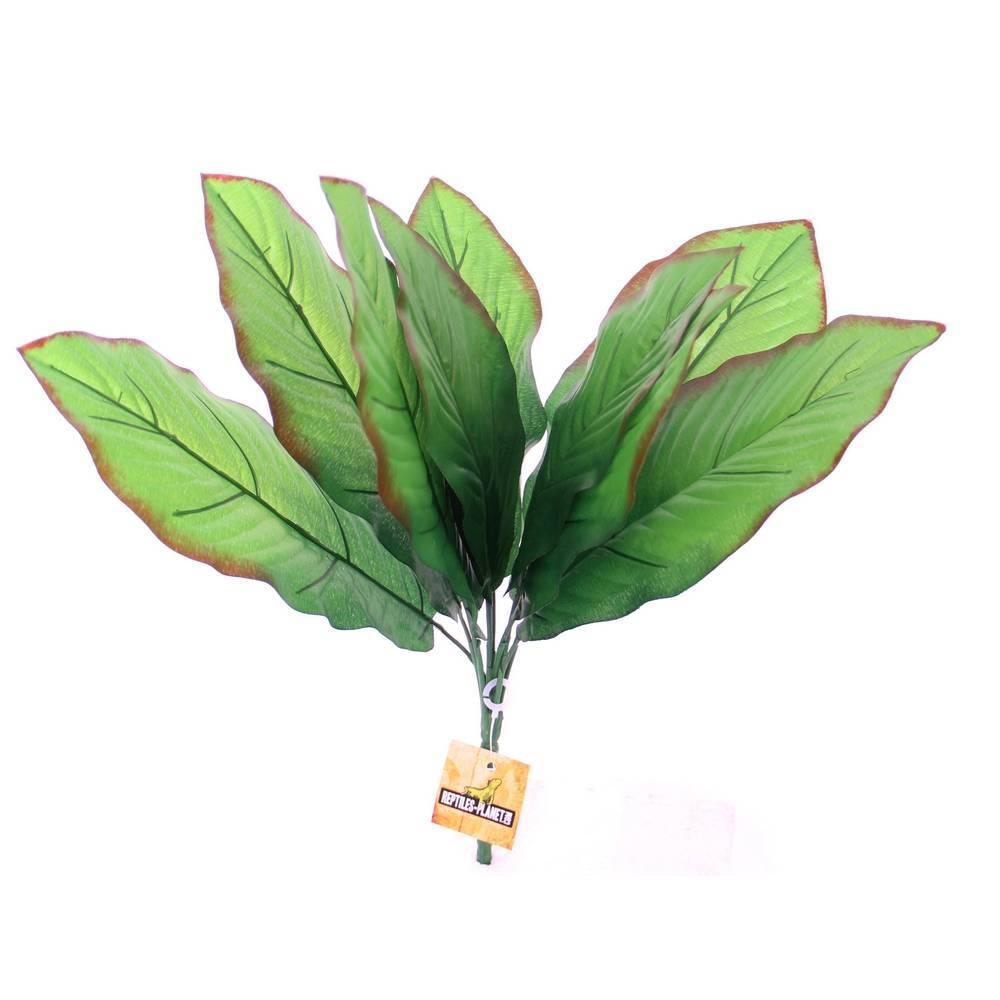 product/r/e/reptiles-planet_rp876027_vert_2.jpg
