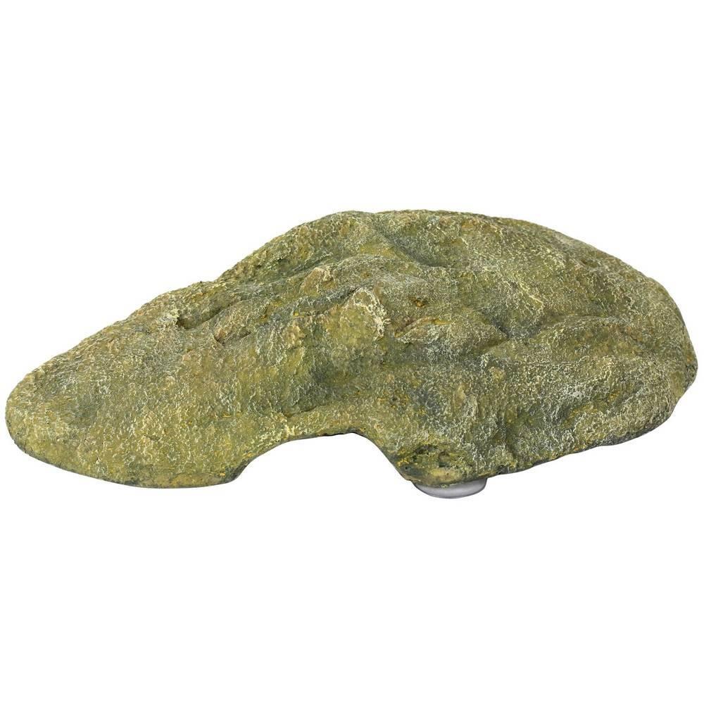 product/r/e/reptiles-planet_rp876172_vert_1.jpg