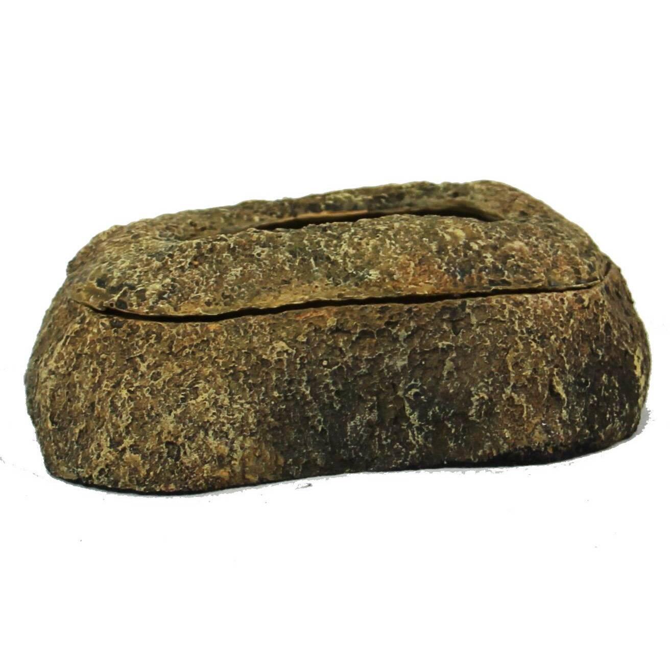 product/r/e/reptiles-planet_rp876176_vert_4.jpg