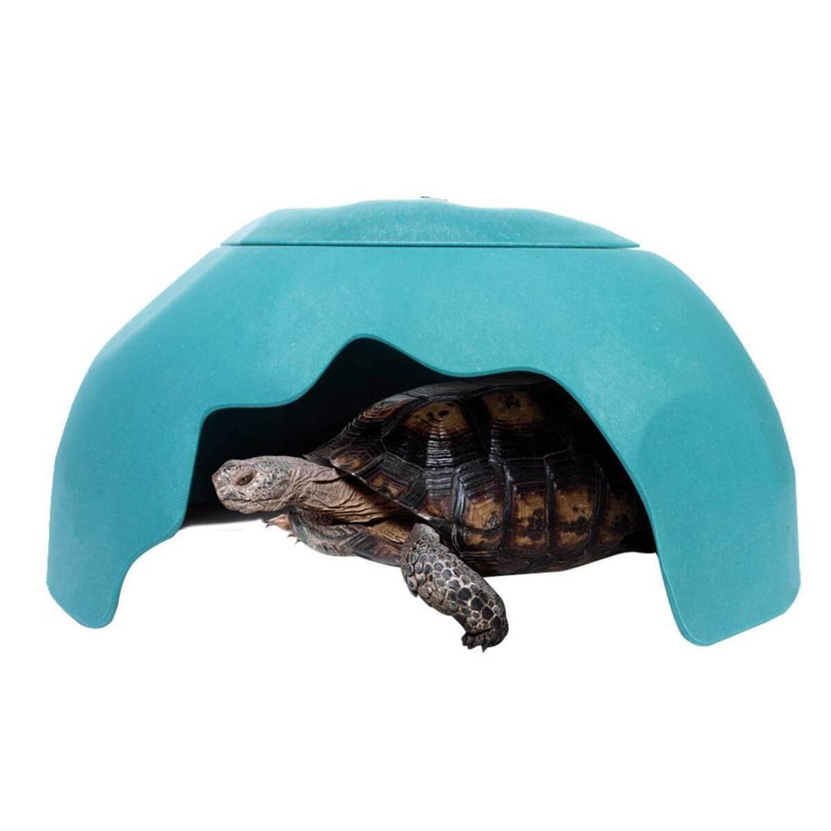 product/r/e/reptiles-planet_rp876257_bleu_4.jpg