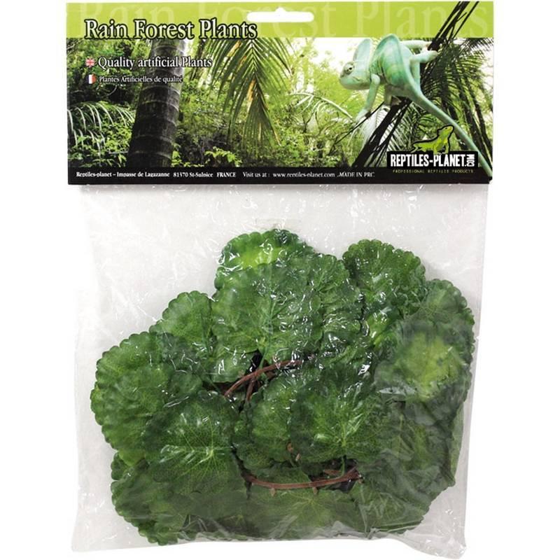 product/r/e/reptiles-planet_rp876258_vert_1.jpg