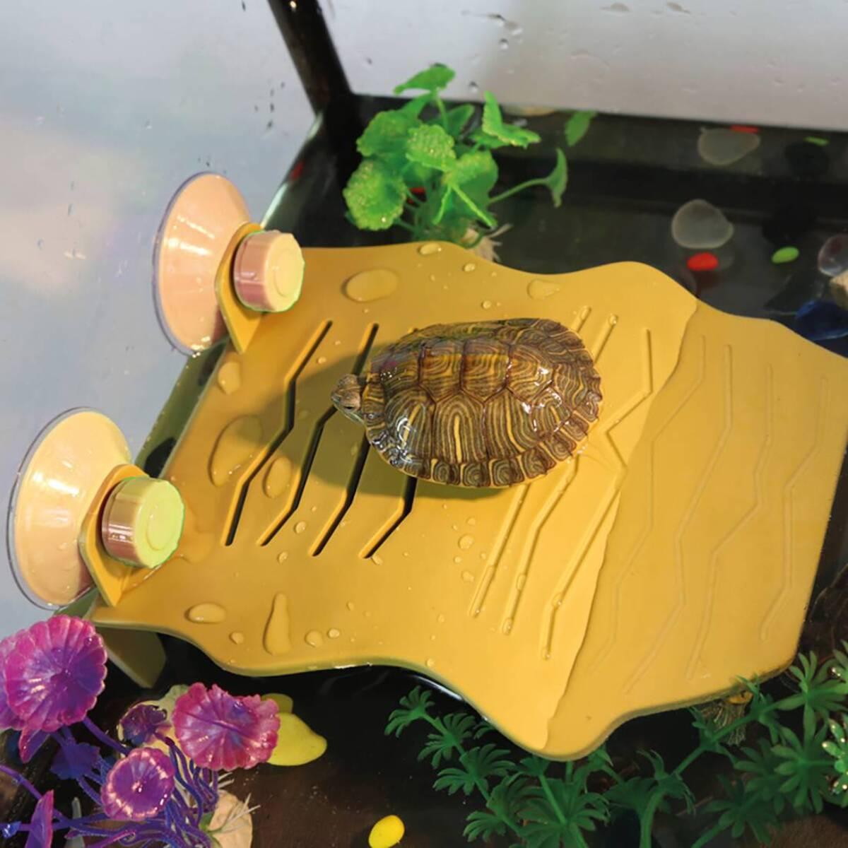 product/r/e/reptiles-planet_rp877768_jaune_2.jpg