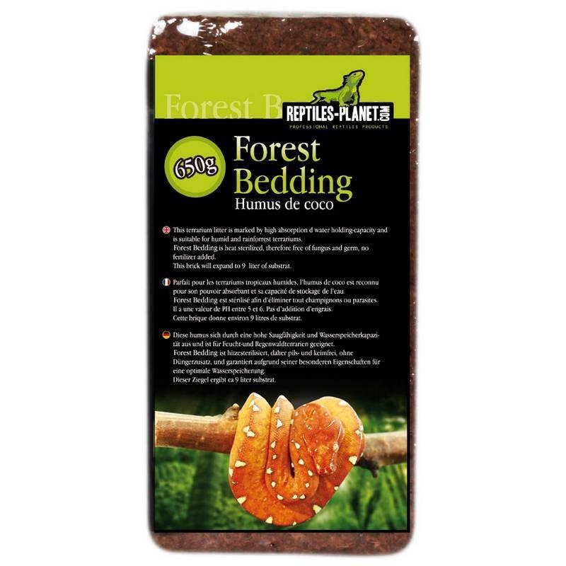 product/r/e/reptiles-planet_rp890580_marron_2.jpg
