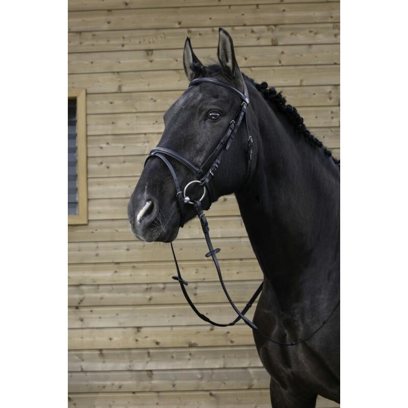 product/r/i/riding-world_301004102_2.jpg