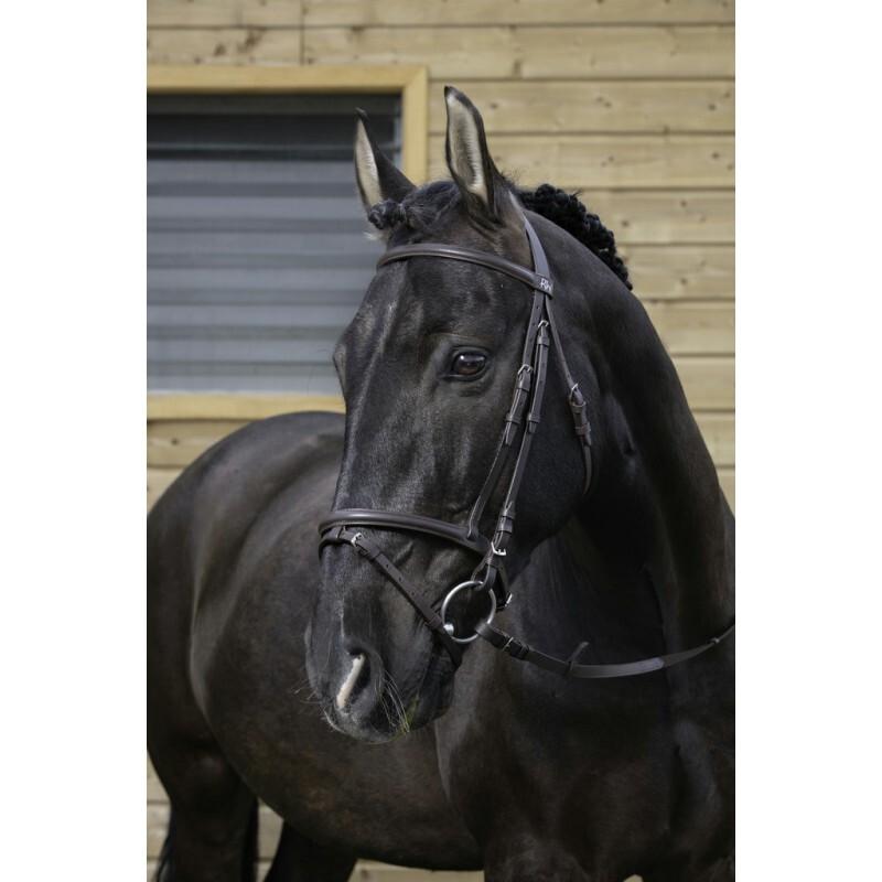 product/r/i/riding-world_301004202_1.jpg